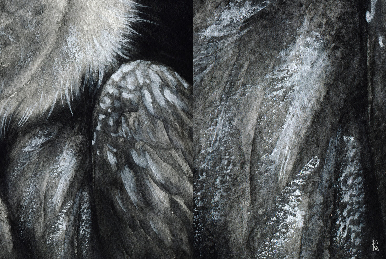 Detail &amp; Texture