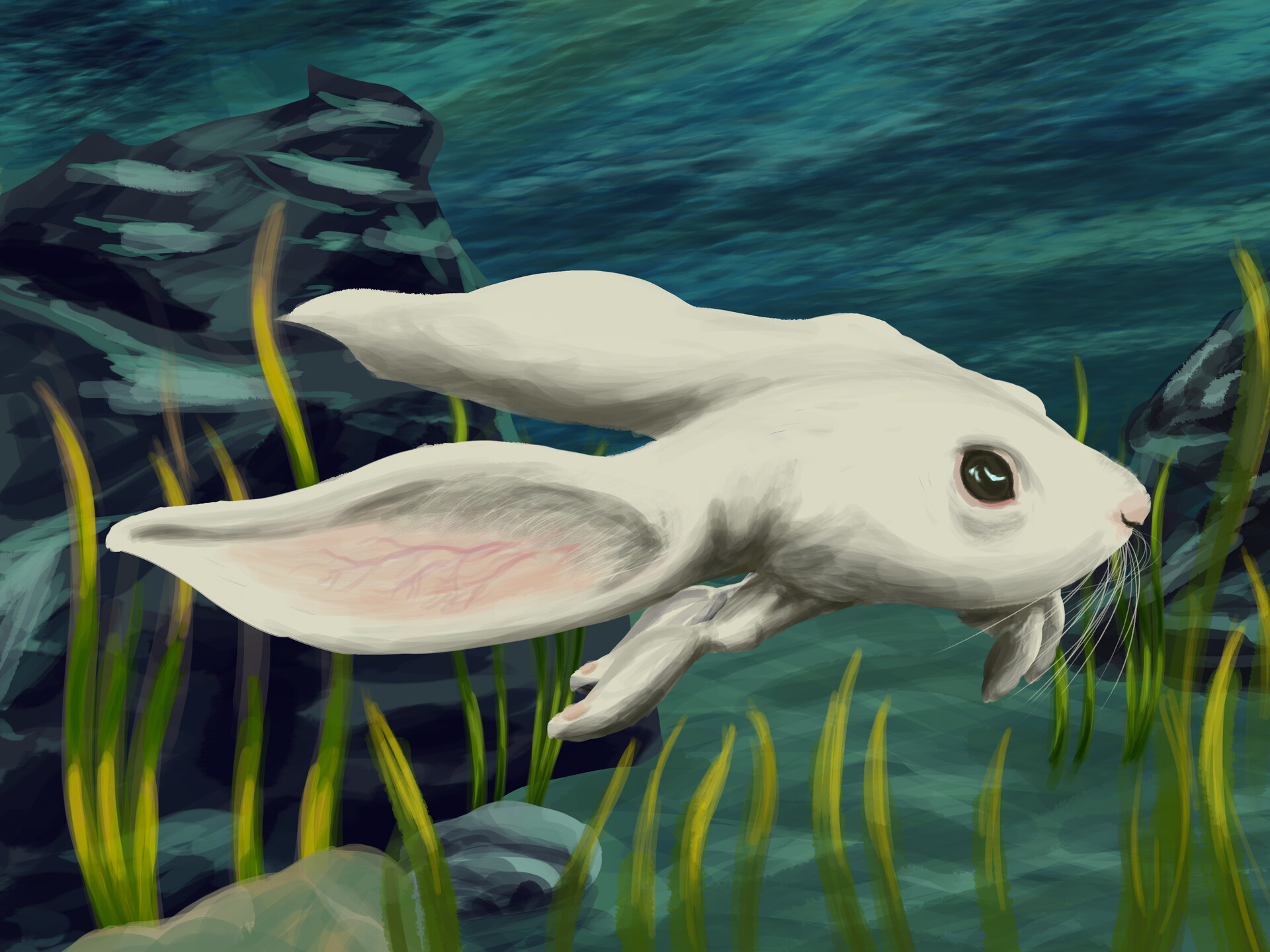 ArtStation Bunny Fish