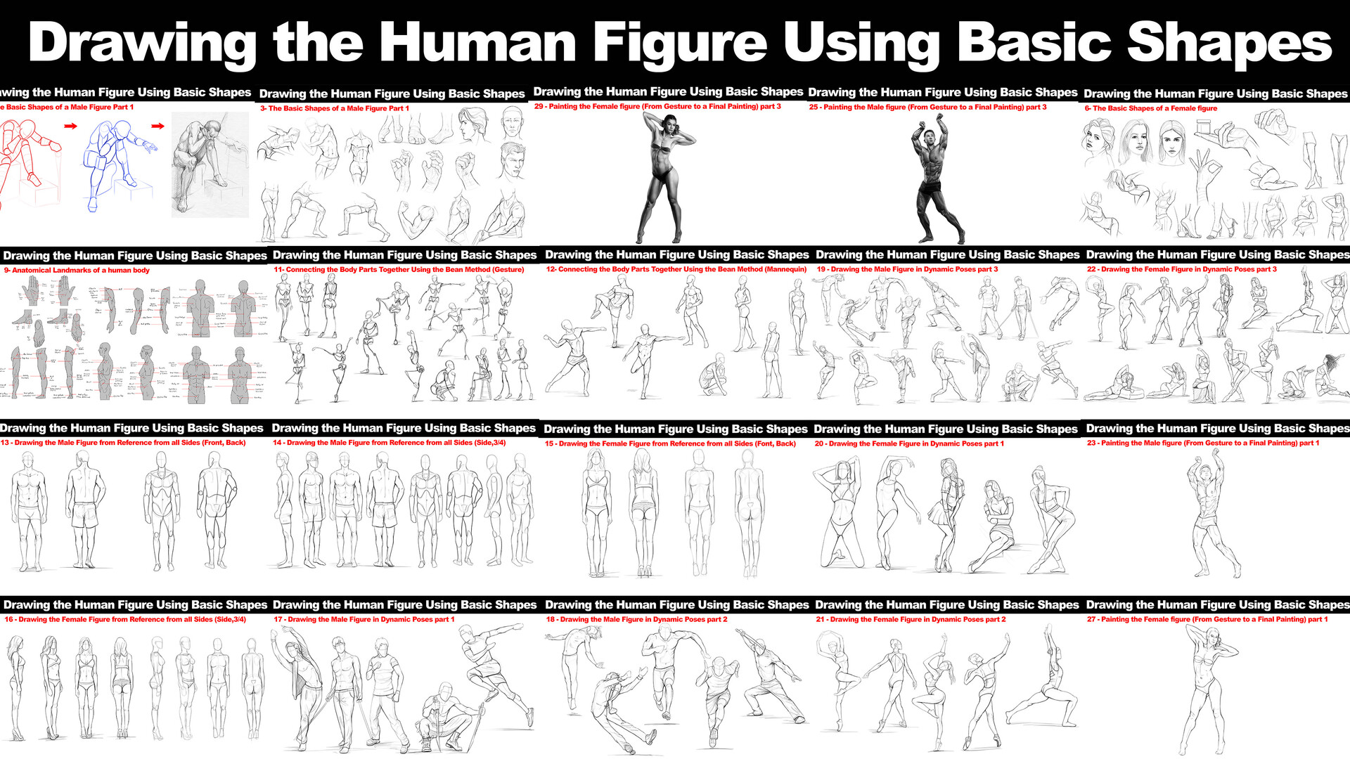 Drawing the Human Figure Using Basic Shapes Lesson by Wingfoxworkshop on  DeviantArt