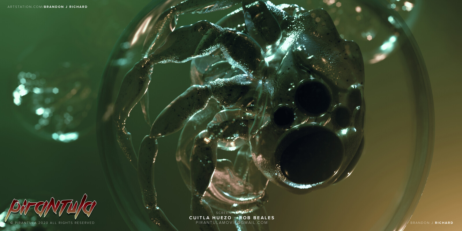 Detail shot