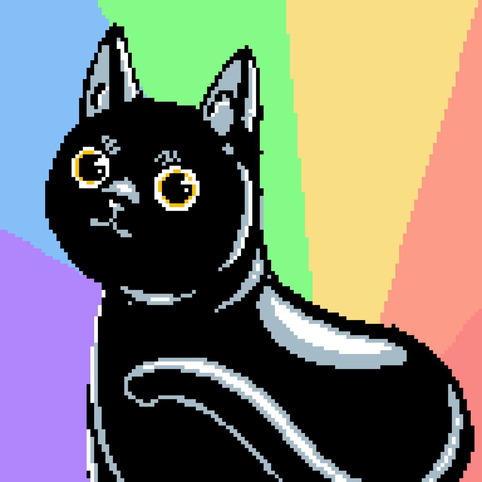 black cat