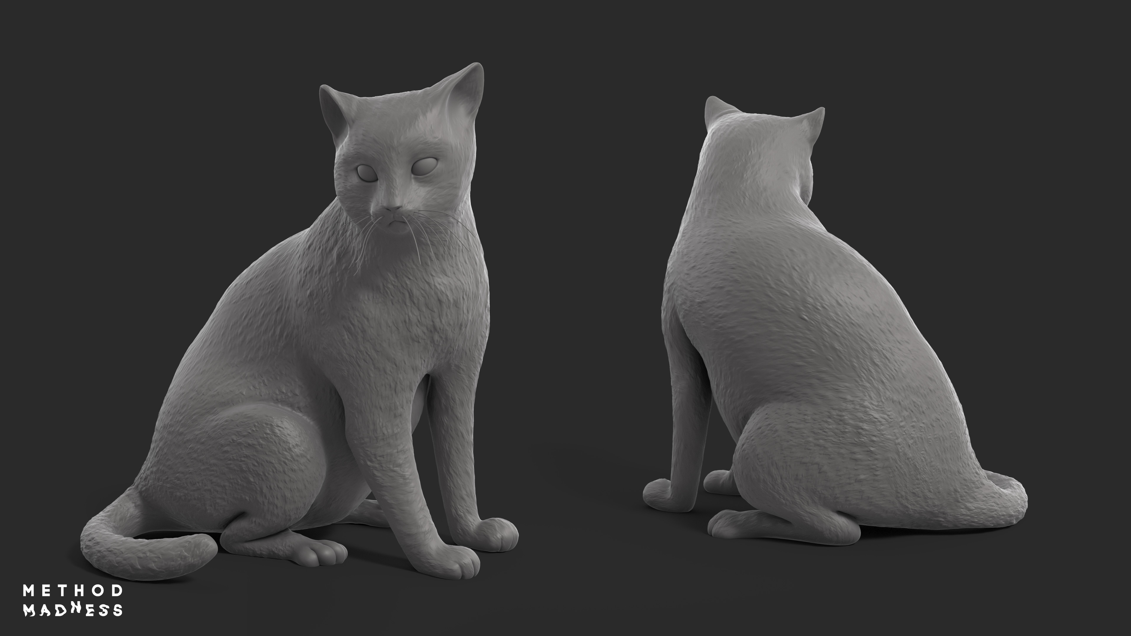 Larry, The Cat Model