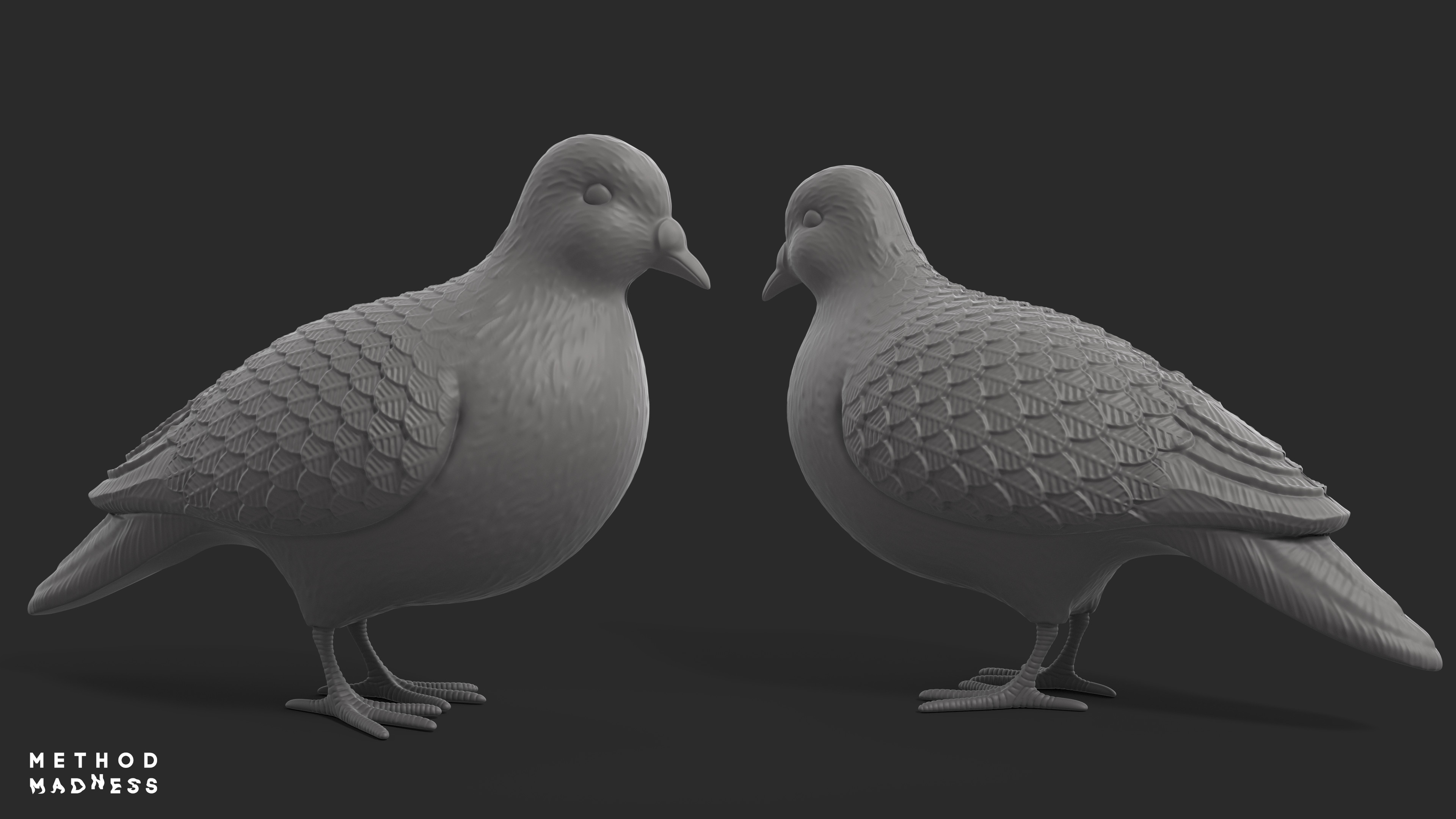 Pigeon Model