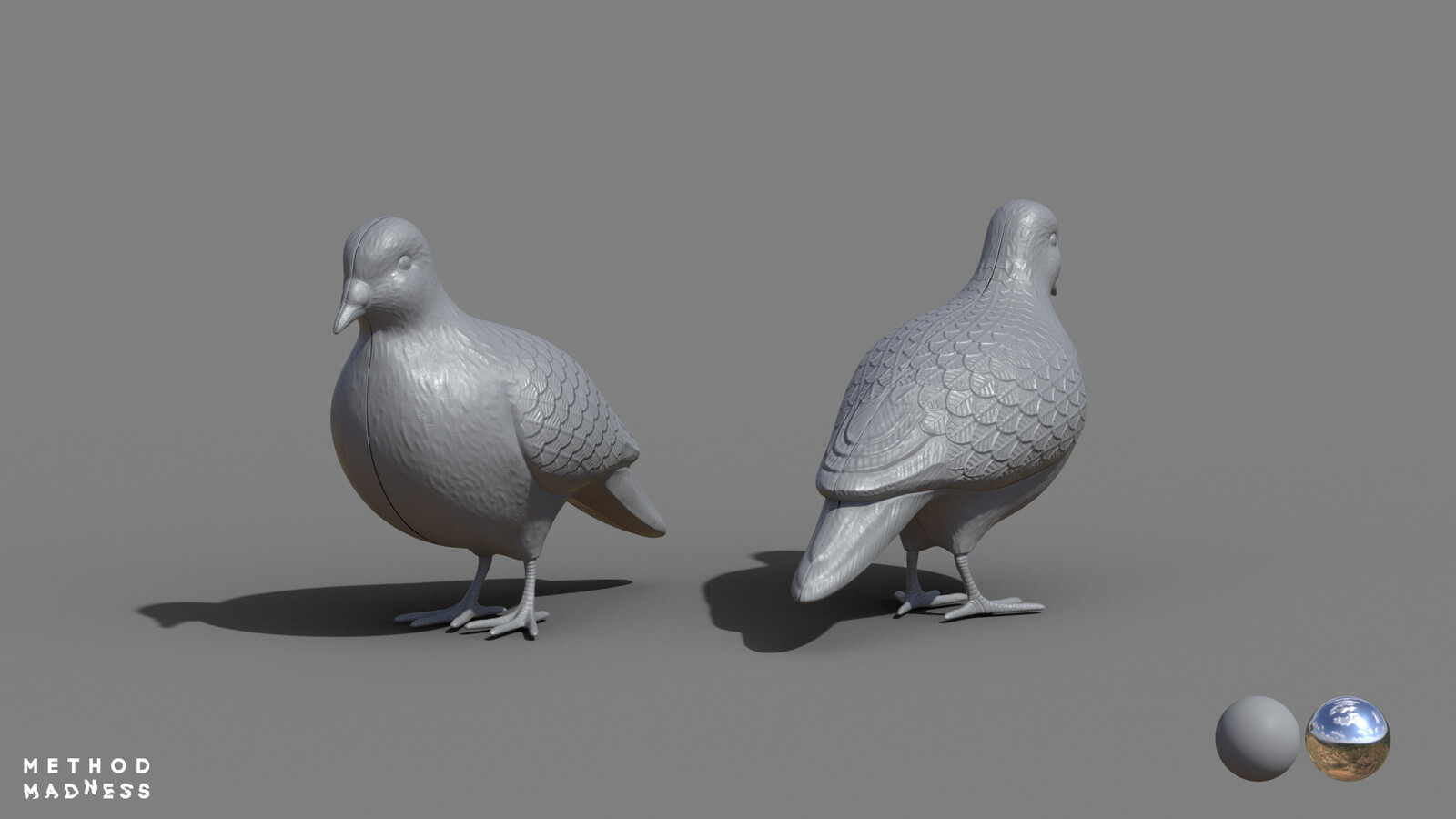 Pigeon Clay