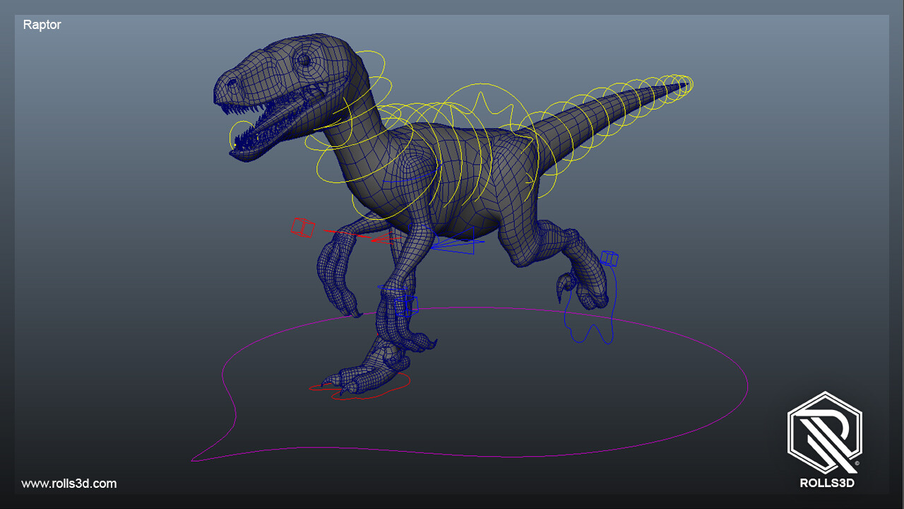 Raptor