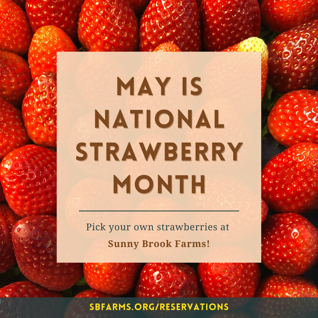 SBF Instagram ad about National Strawberry Month
