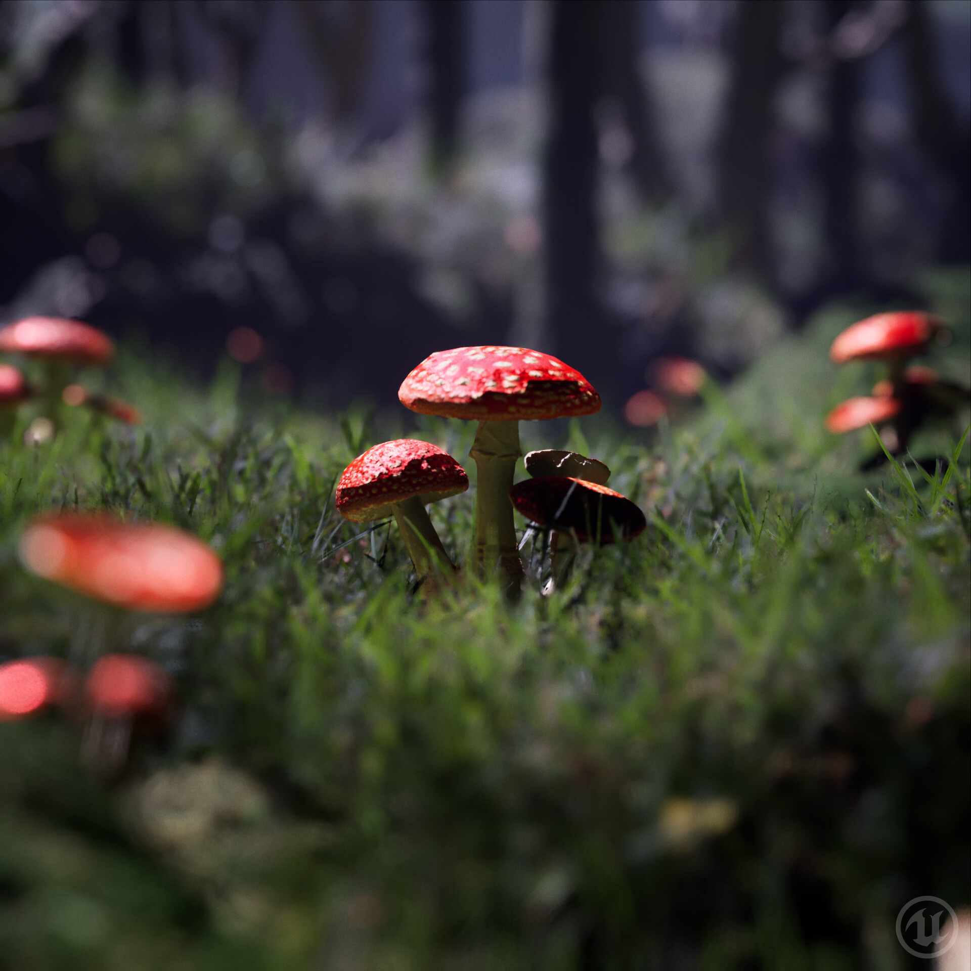 Mushroom - Unreal Engine 5