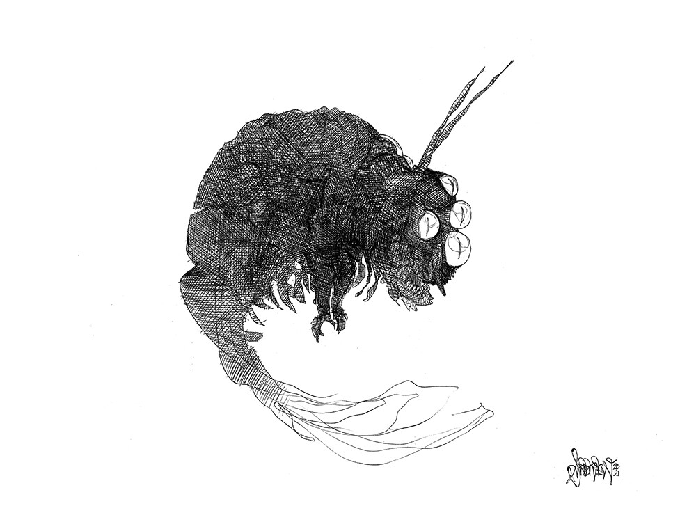 ArtStation - Prawne