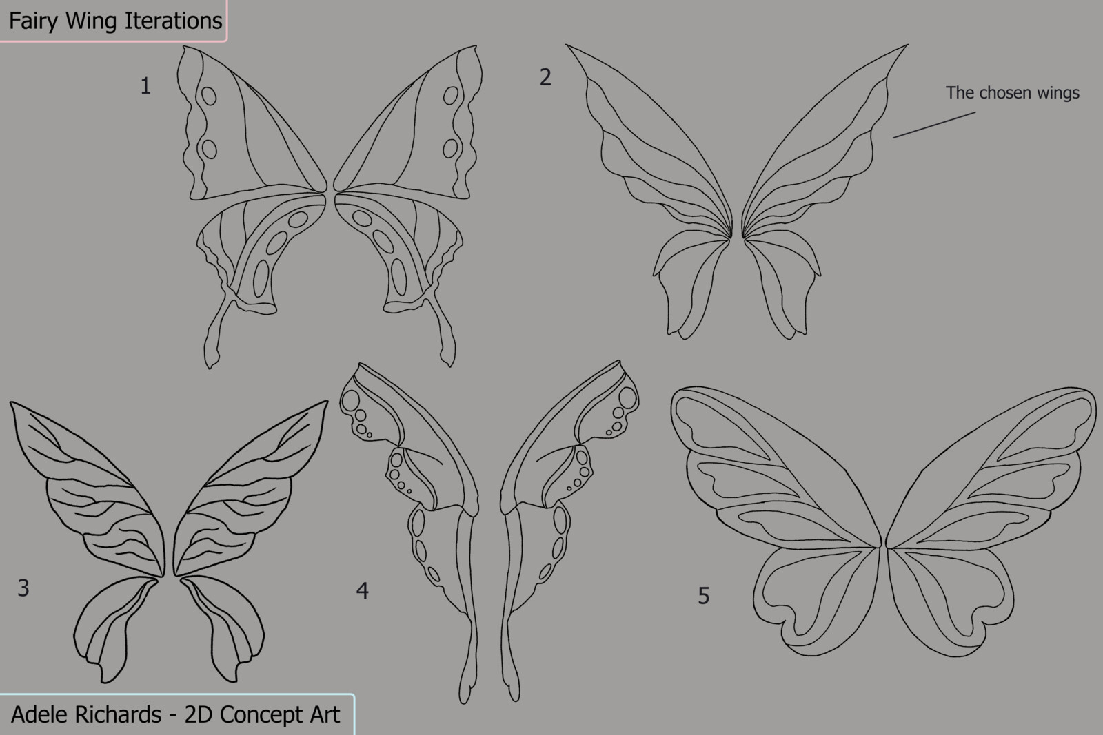 Wing Concepts, including the chosen set of wings. 