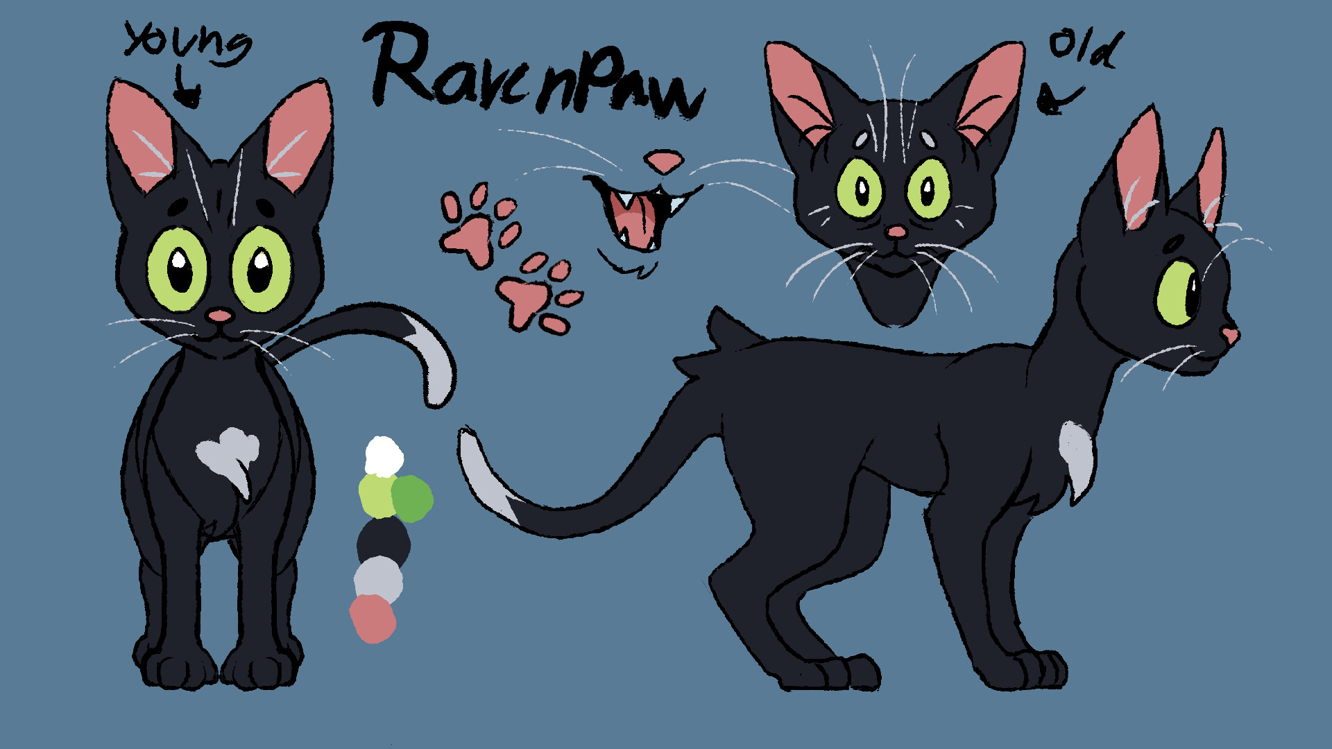 ArtStation - Ravenpaw sketch