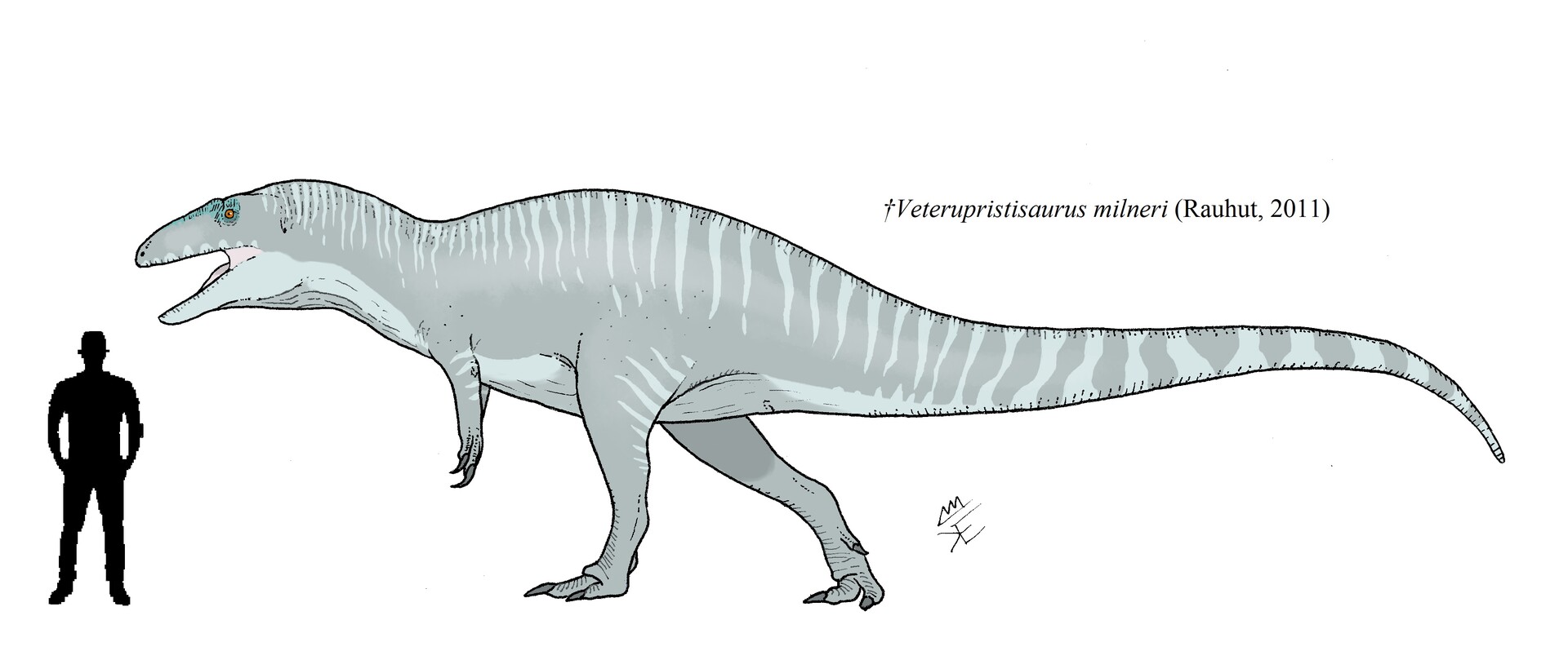 ArtStation - Veterupristisaurus milneri