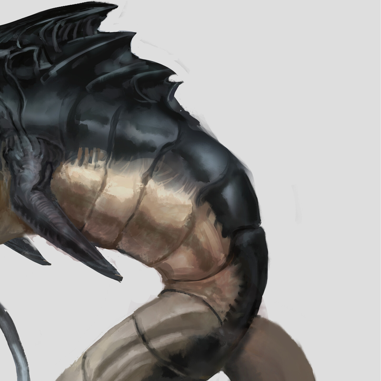 Torso Detail