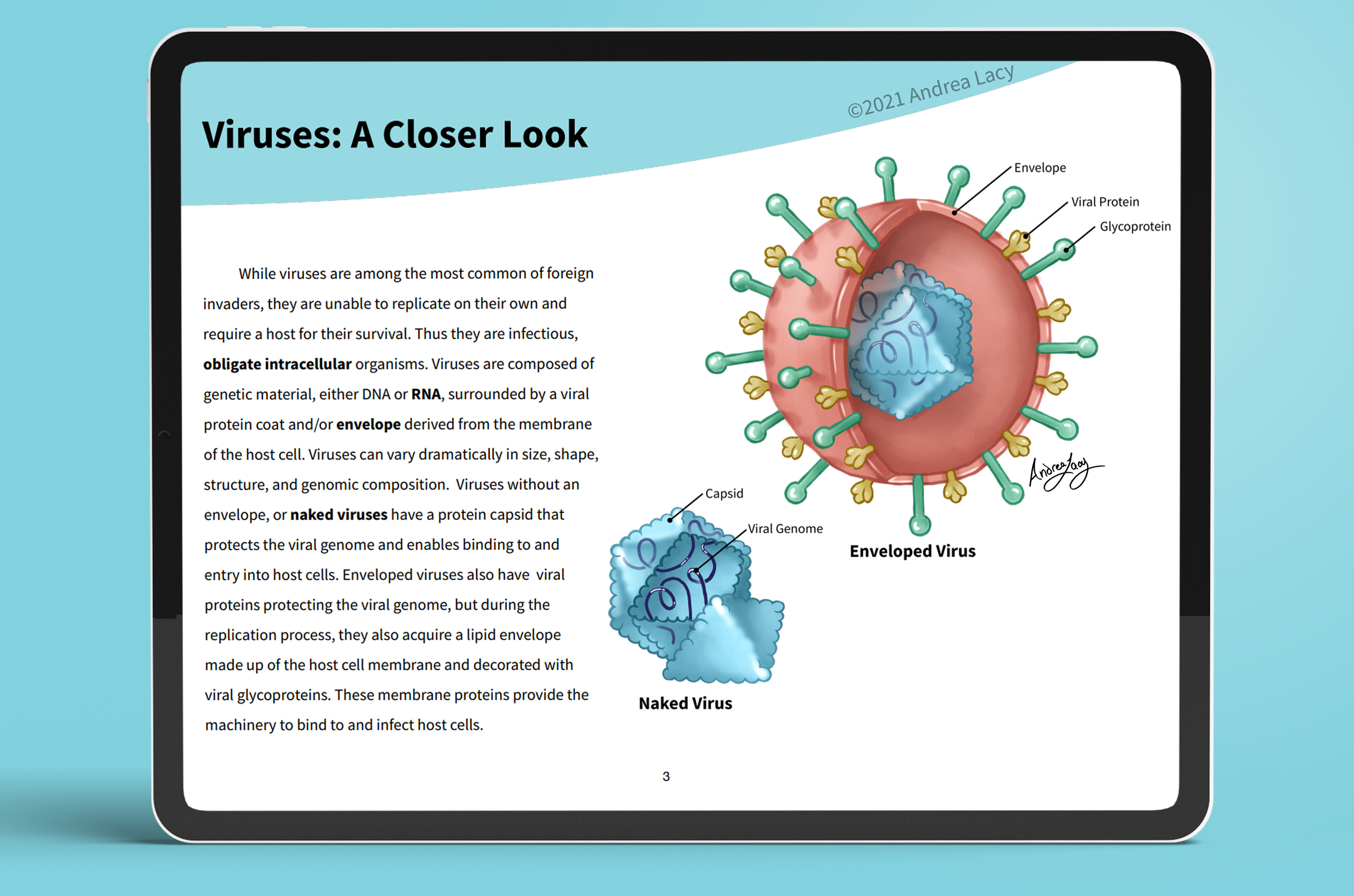 Section 1 includes an overview of the anatomy of viruses.