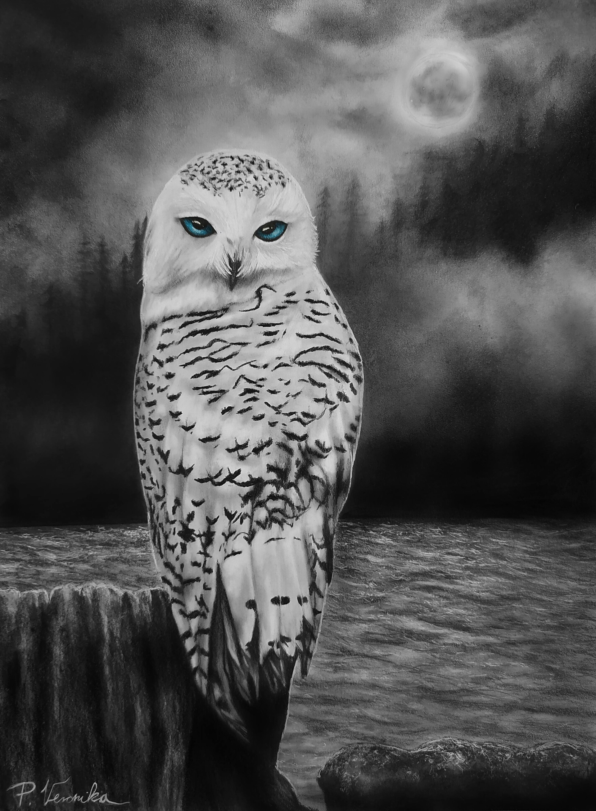 ArtStation - Charcoal drawing of an Owl