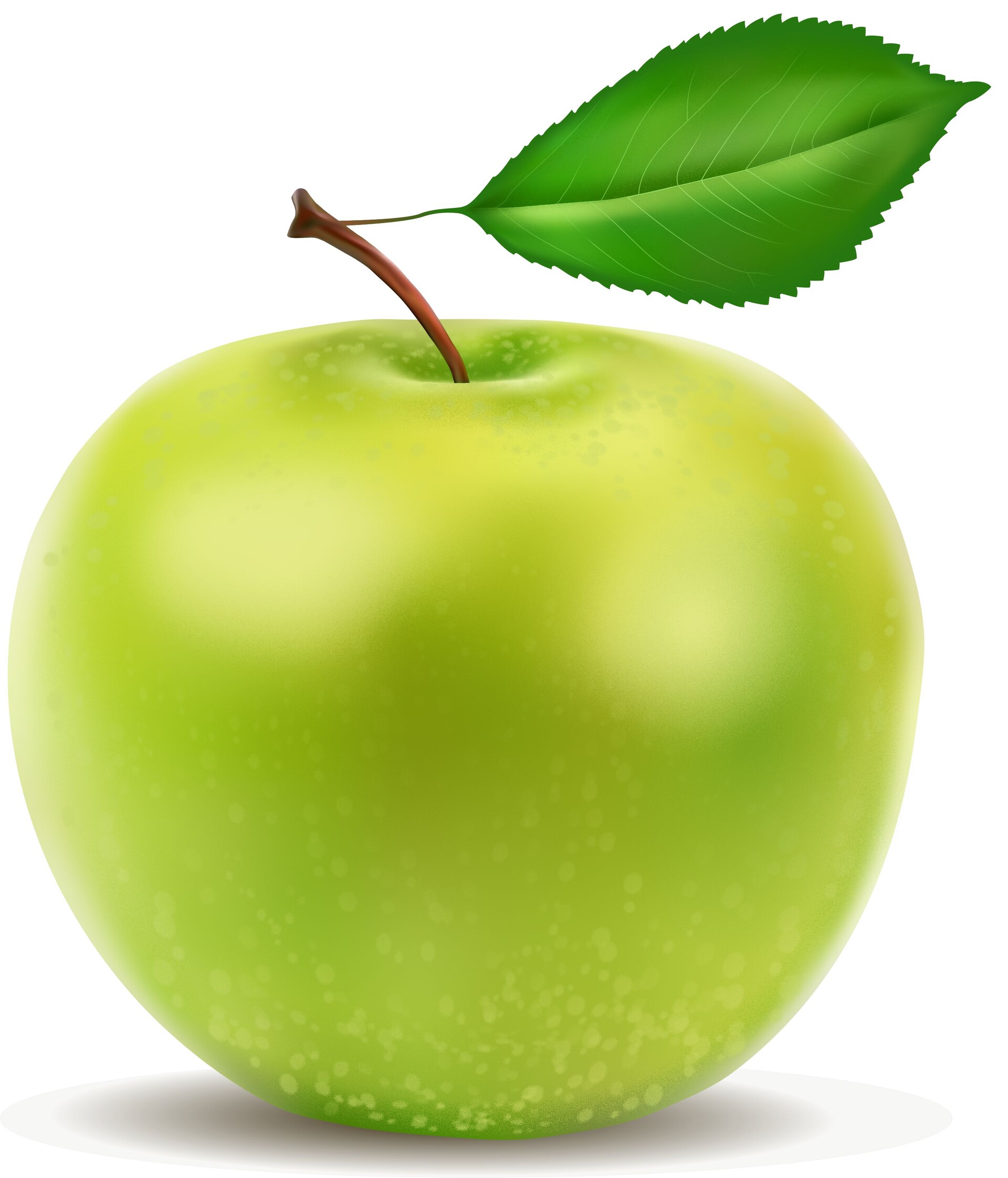 Зеленое яблоко рисунок