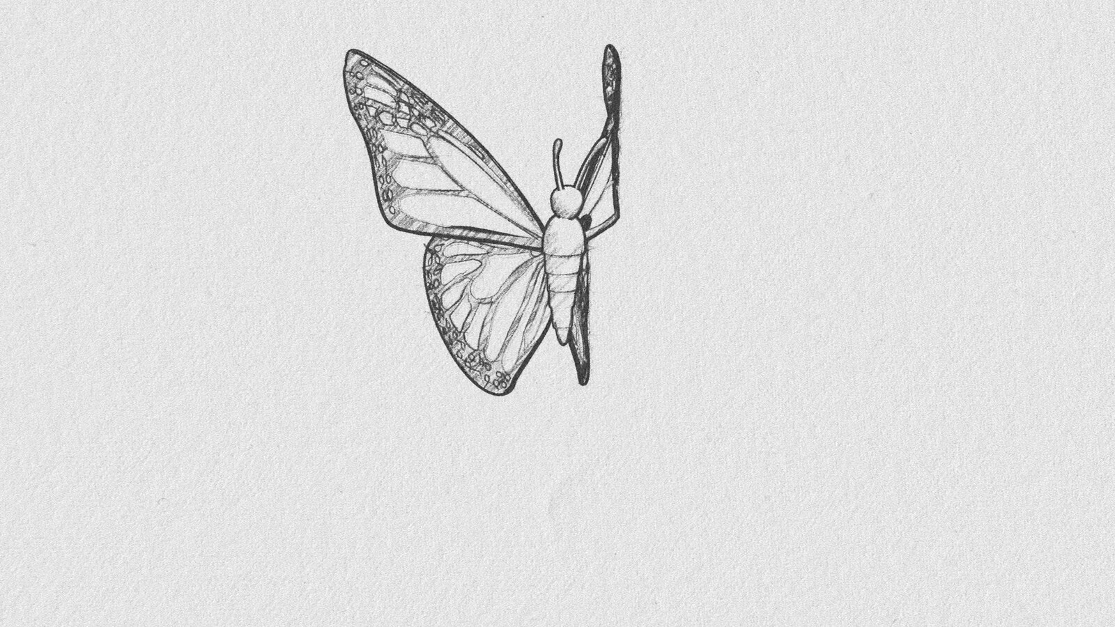 Butterfly Effect - Frame