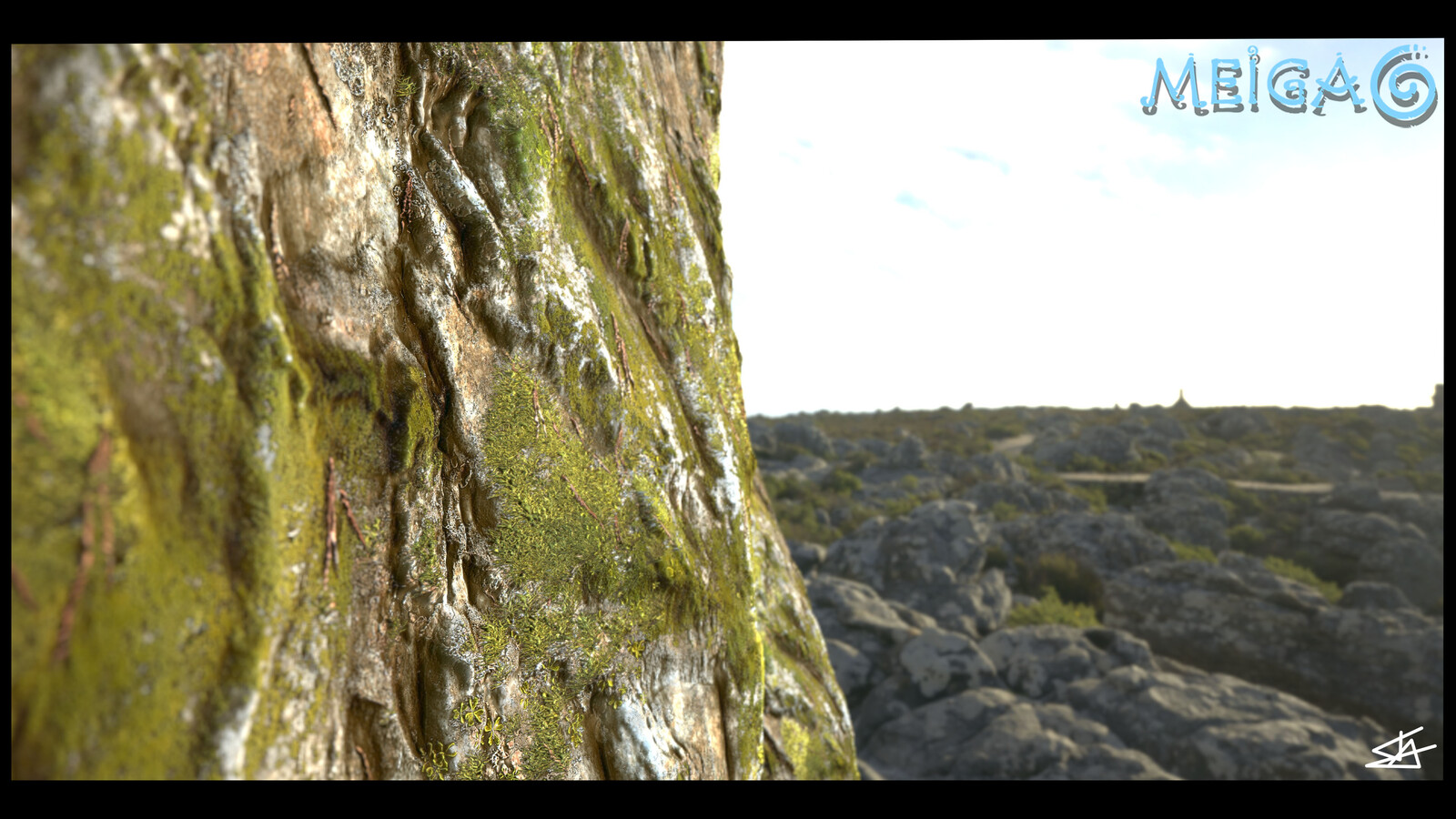 STONE TEXTURE