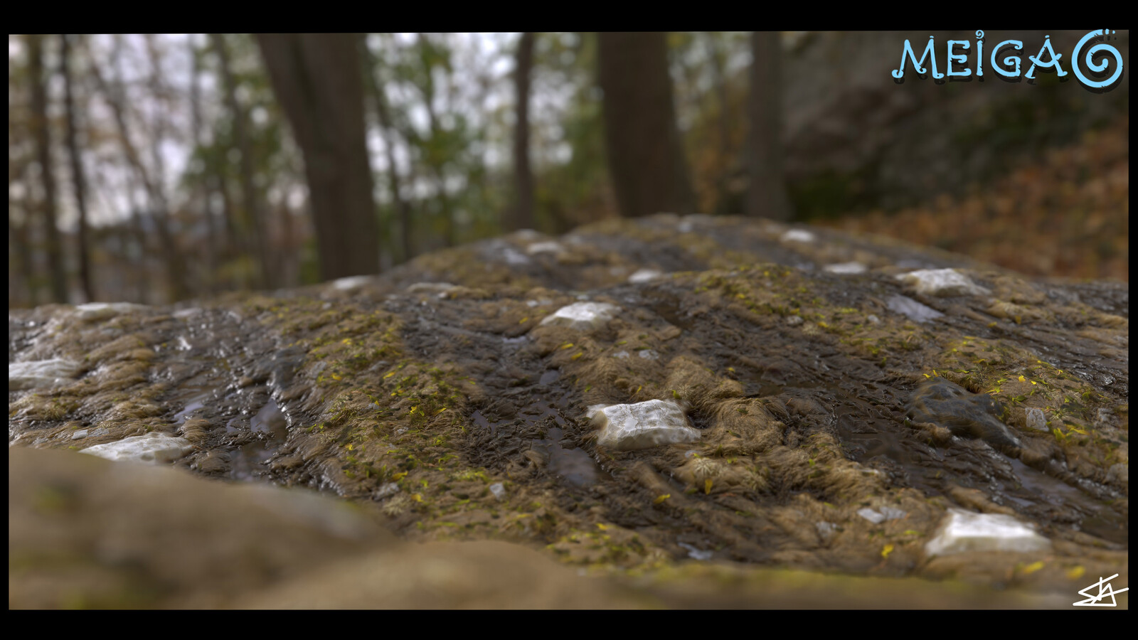 MUD TEXTURE