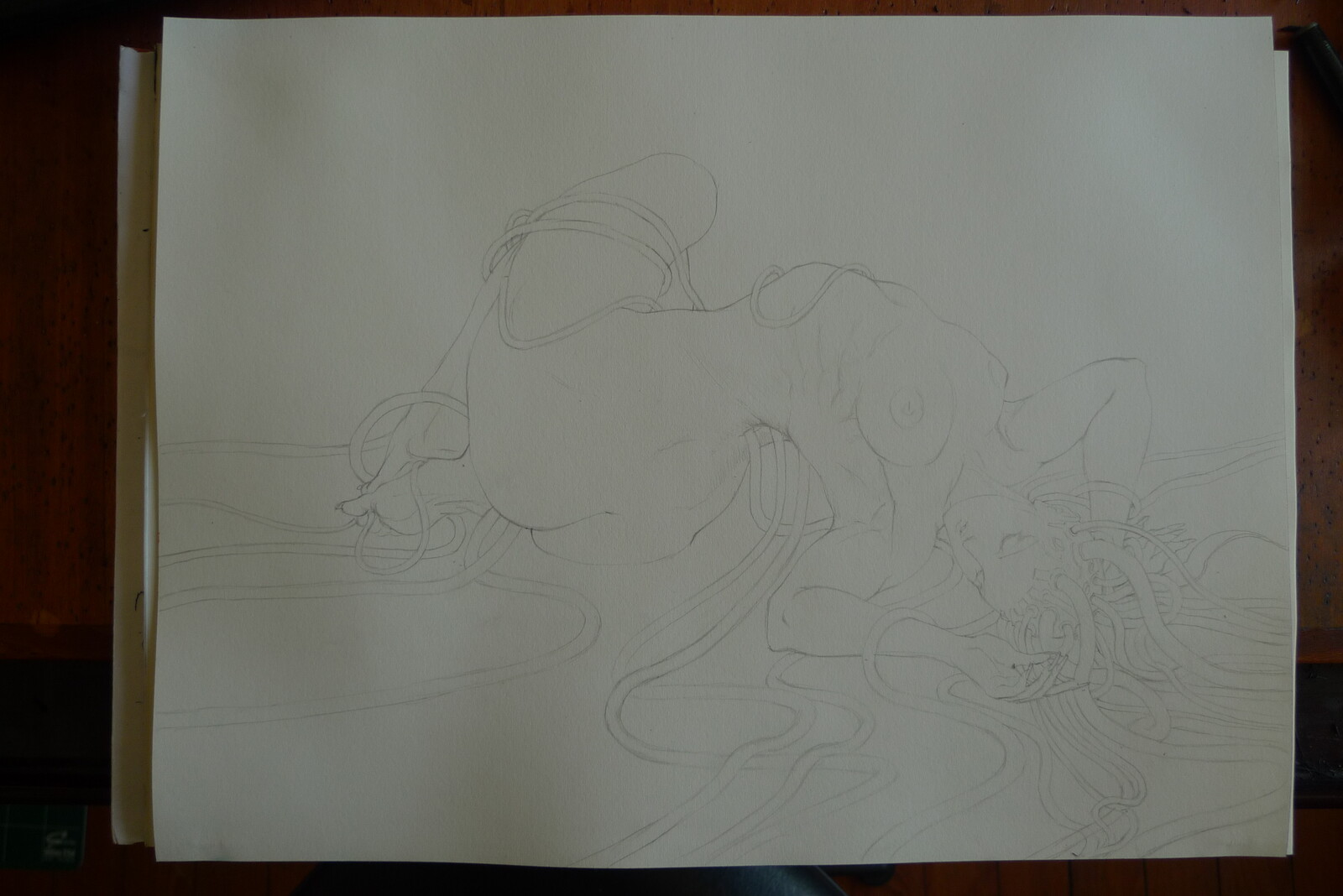 pencil lineart
