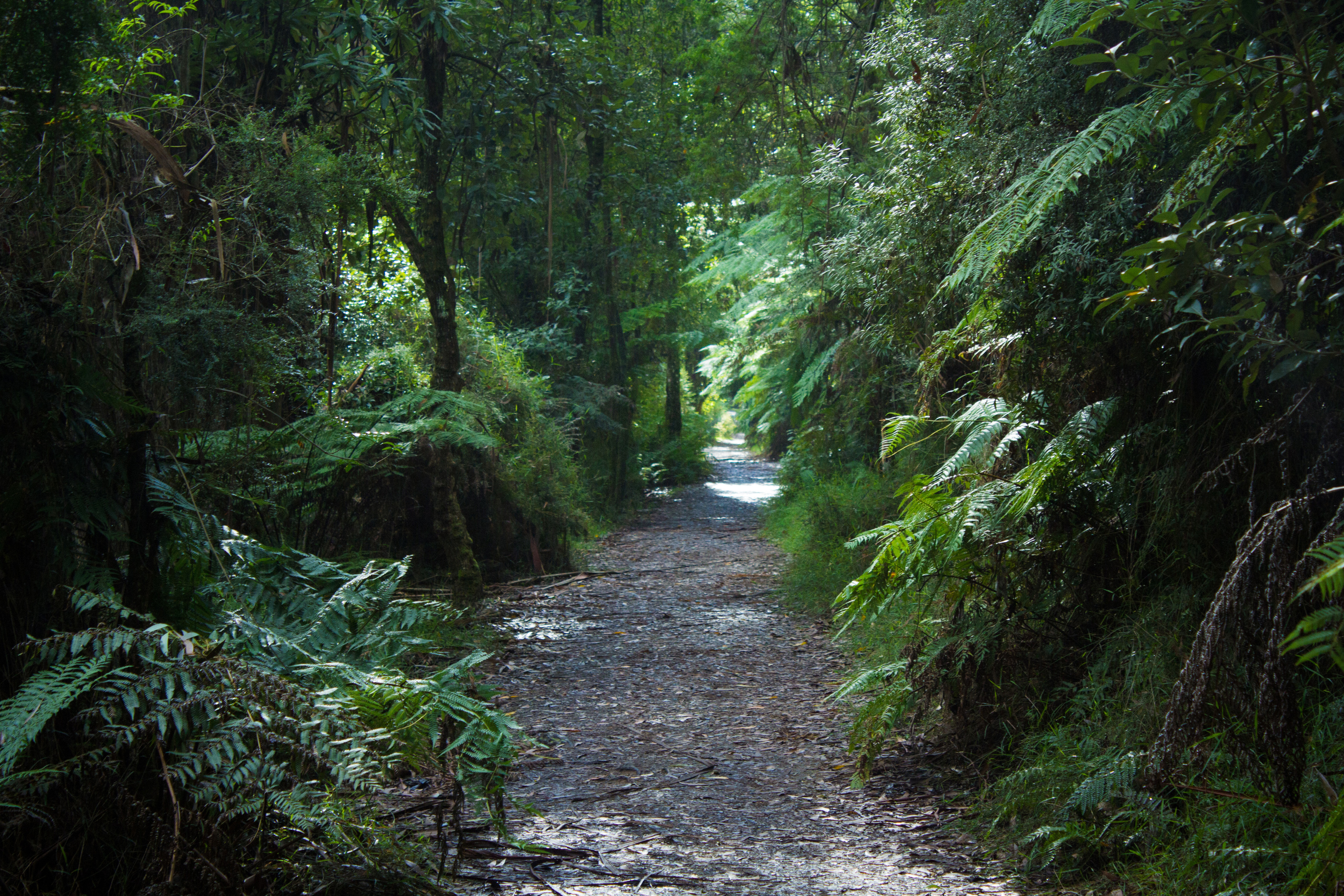 Location: Melbourne - Dandenong Ranges