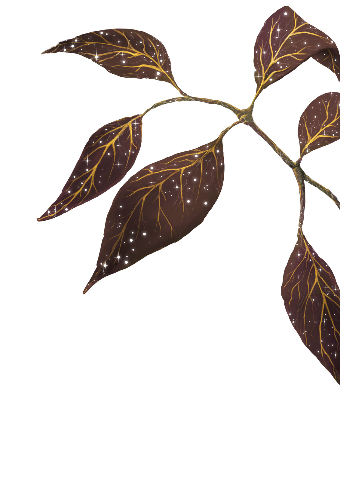 croquis Pranium