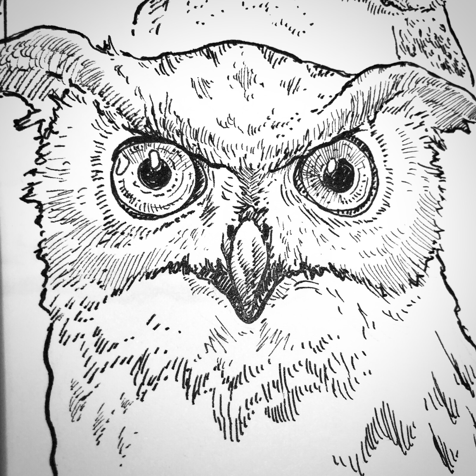 Close-up