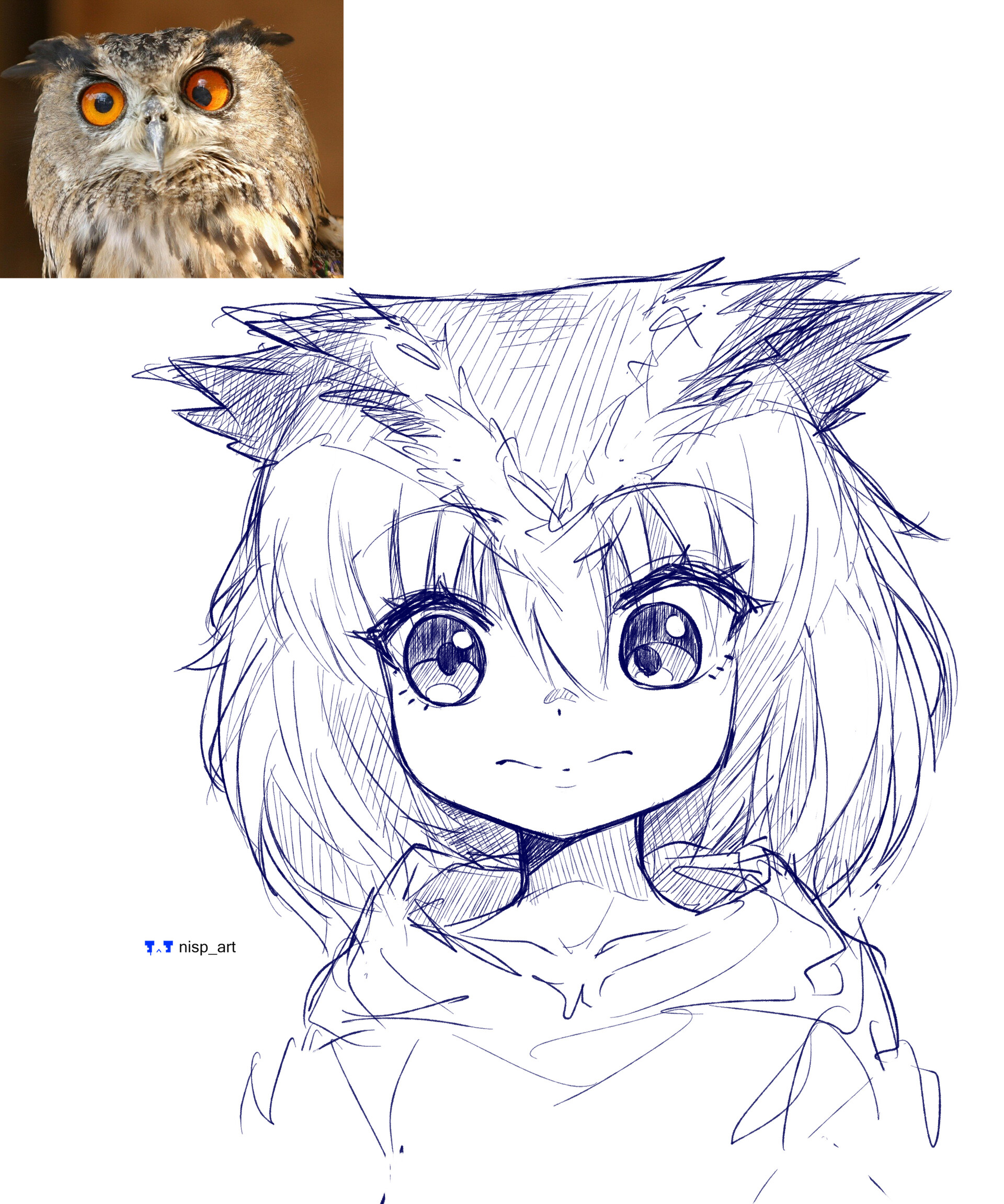 Update more than 67 anime owl app super hot - in.duhocakina