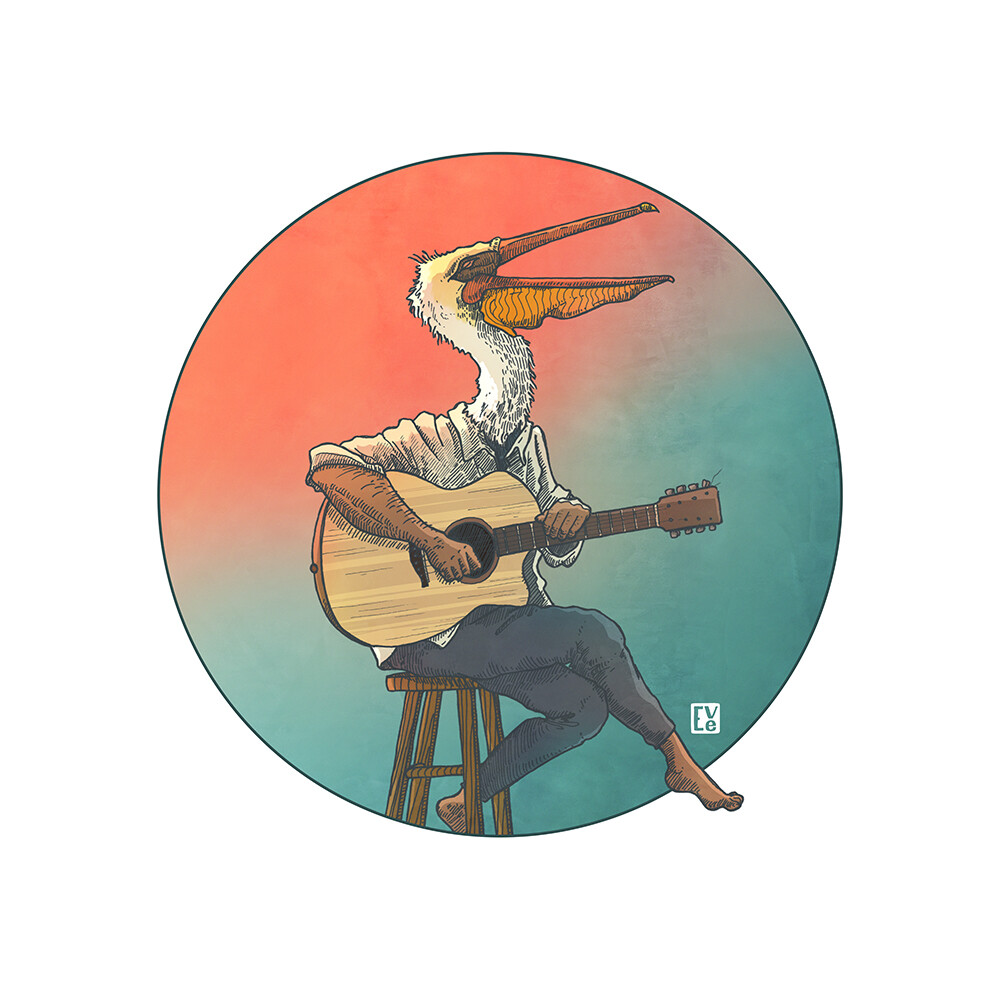Acoustic Pelican