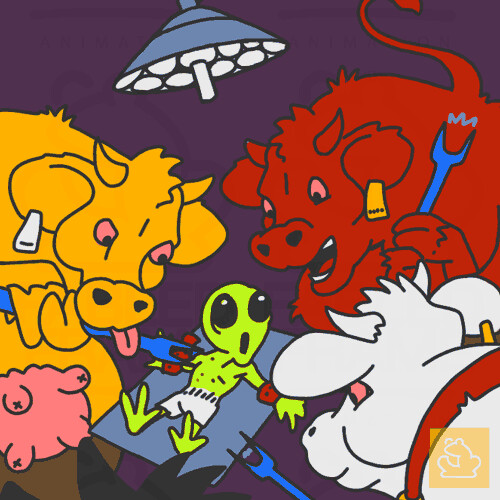 Beef Encounters