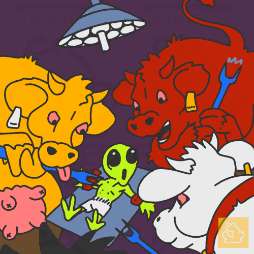 Beef Encounters