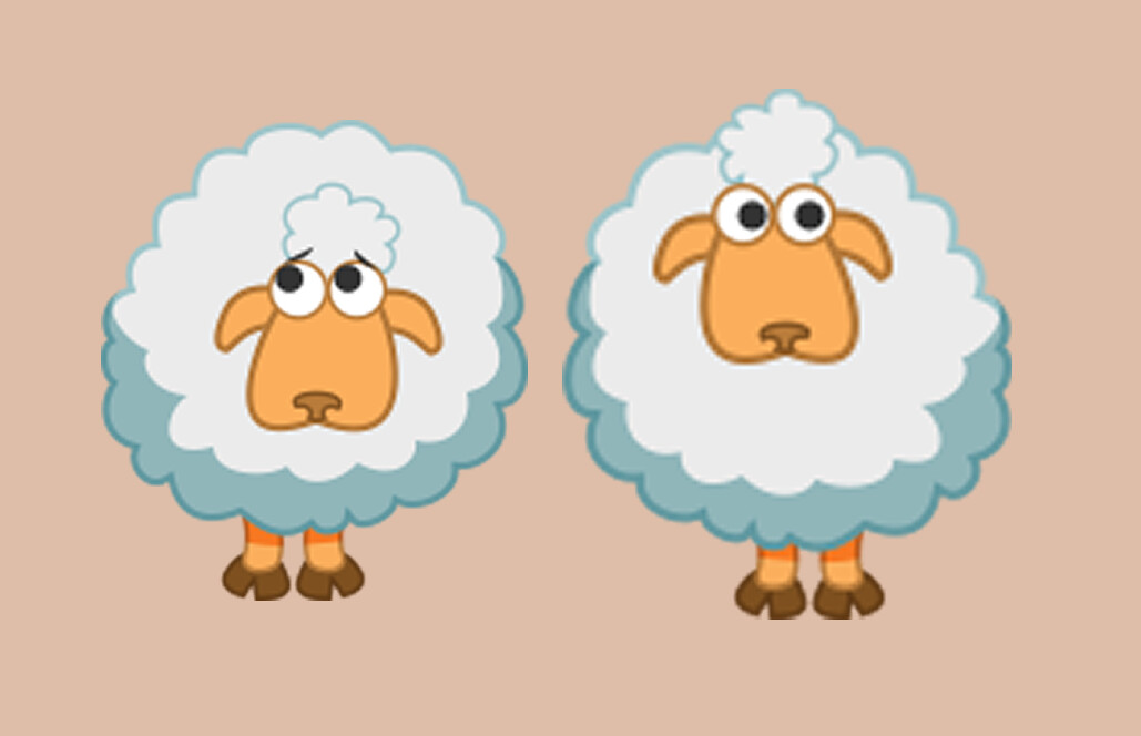 Misc Sheep.