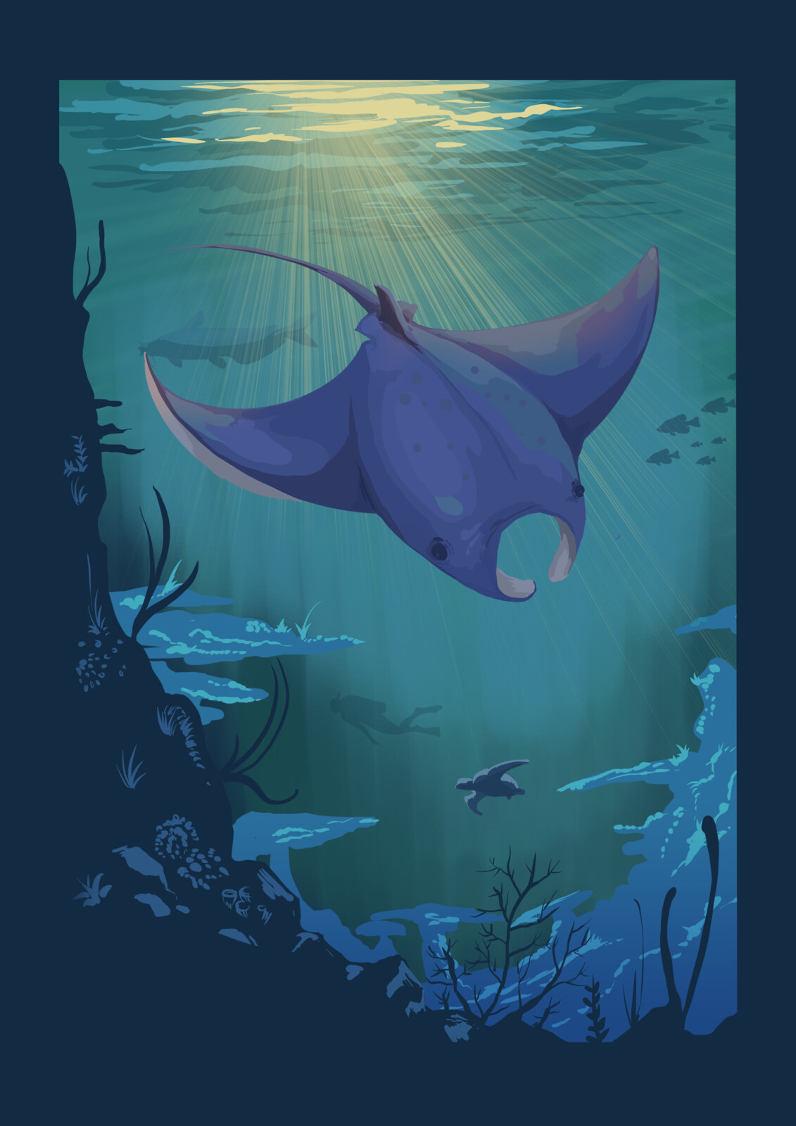 Manta Poster