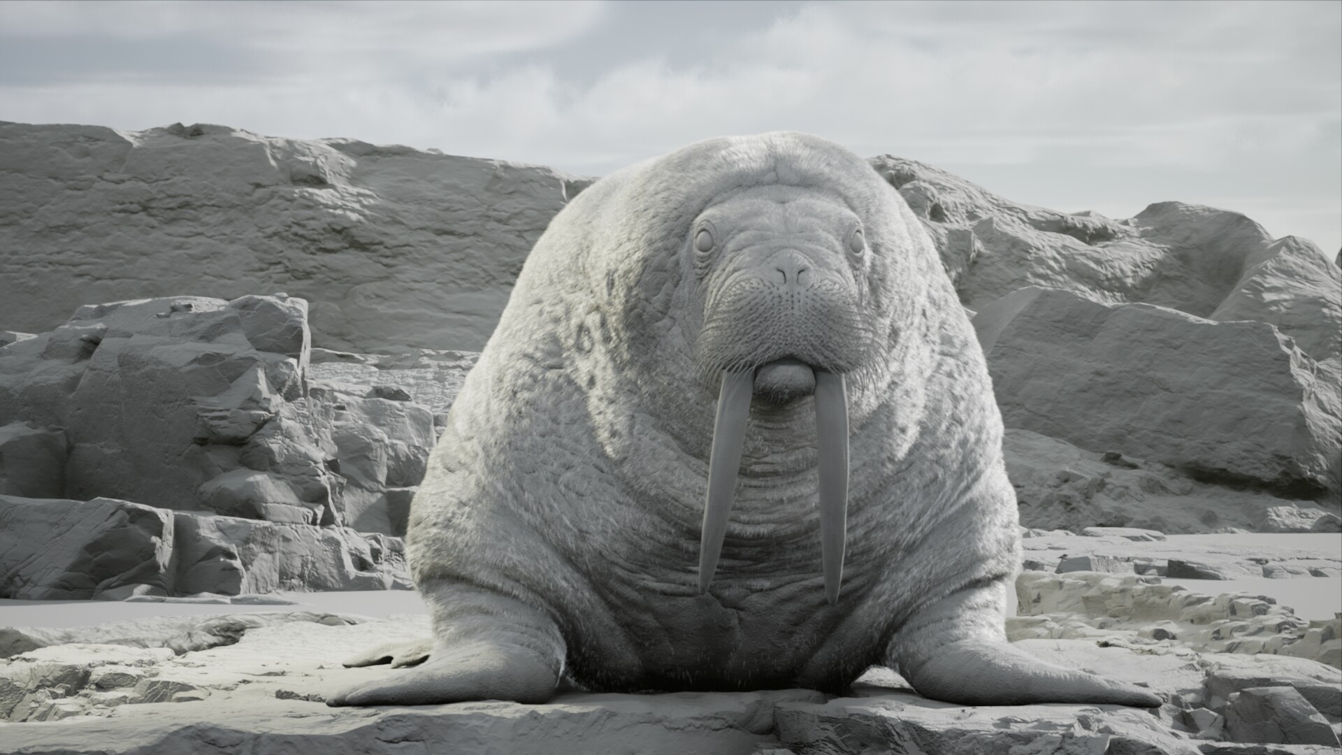 Movie walrus The Walrus
