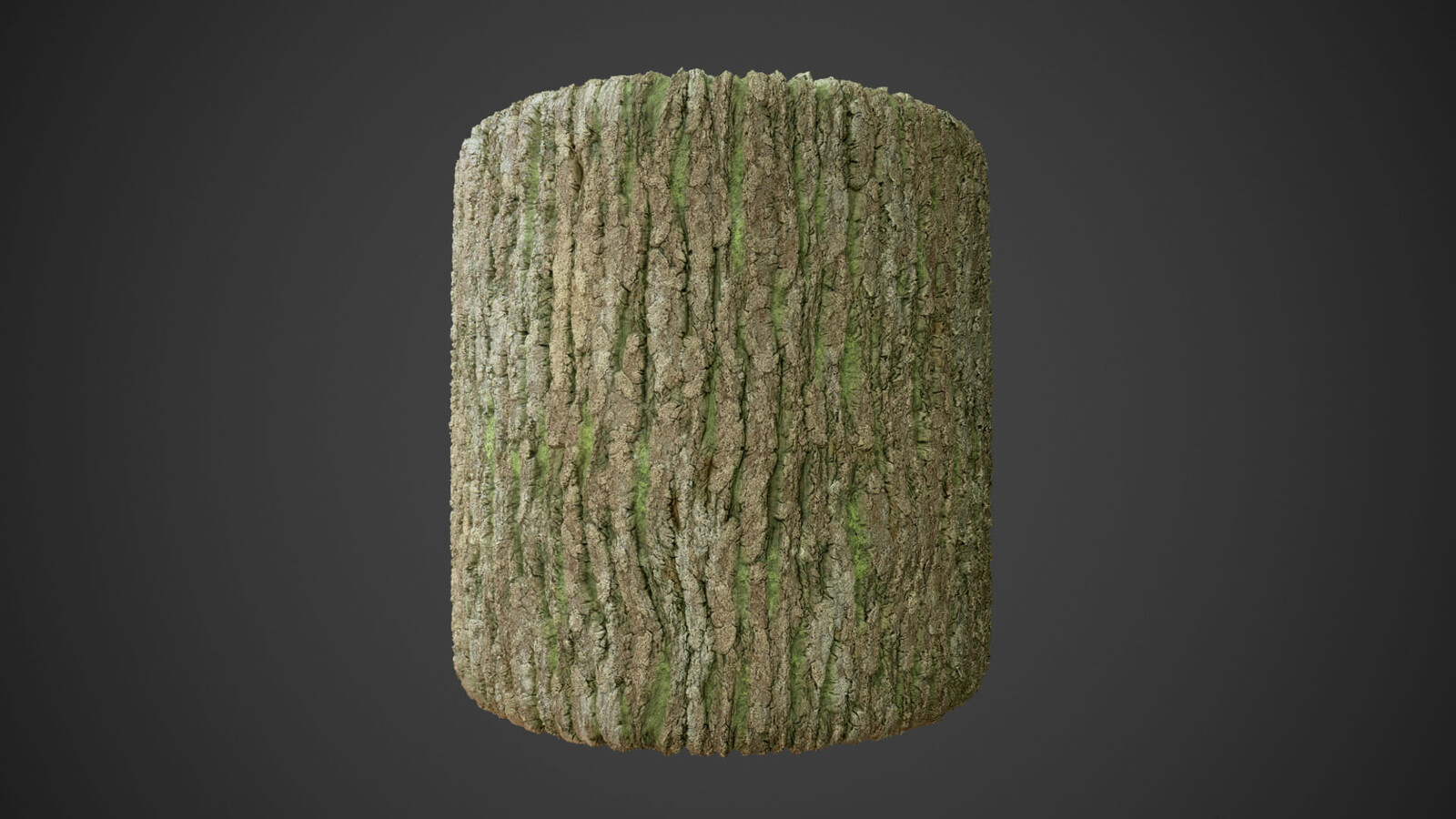 Bark created in Substance Designer