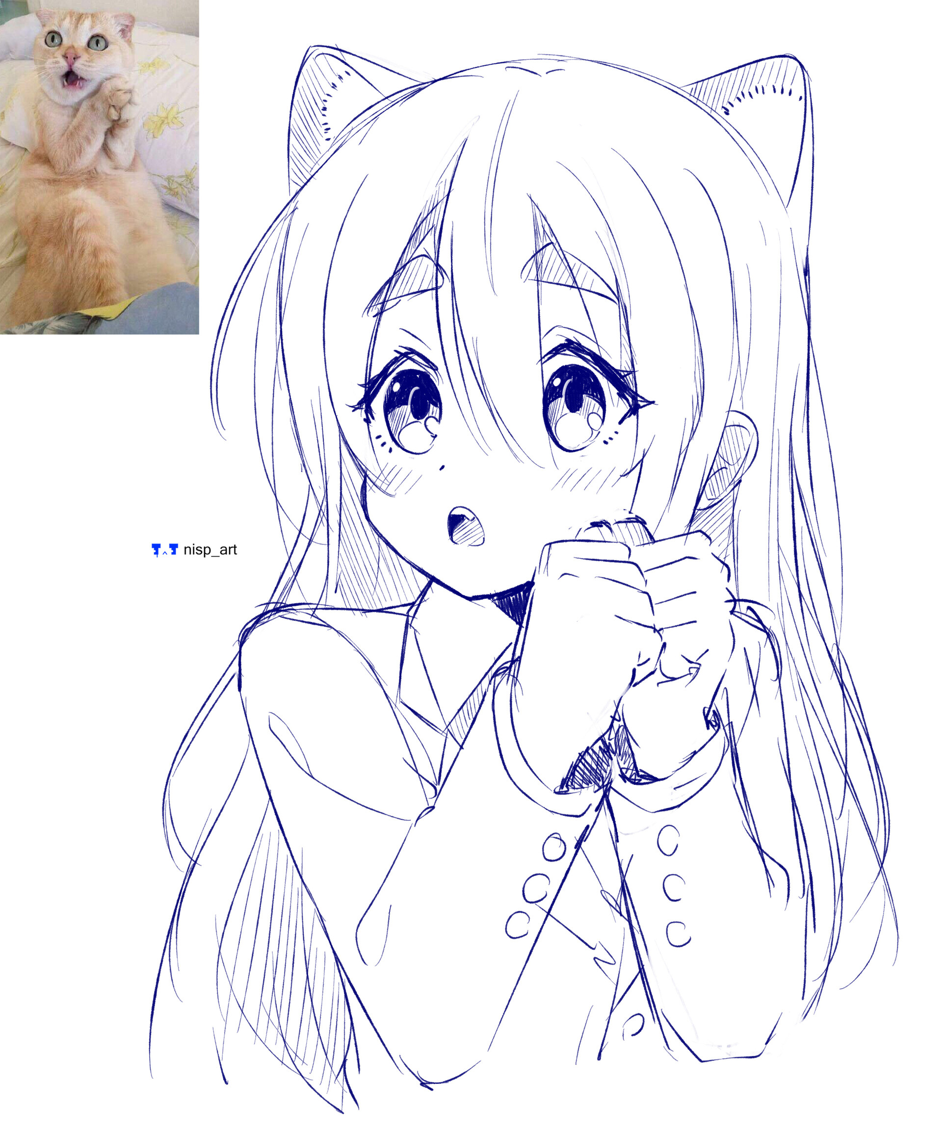 ArtStation - Anime sketch cat