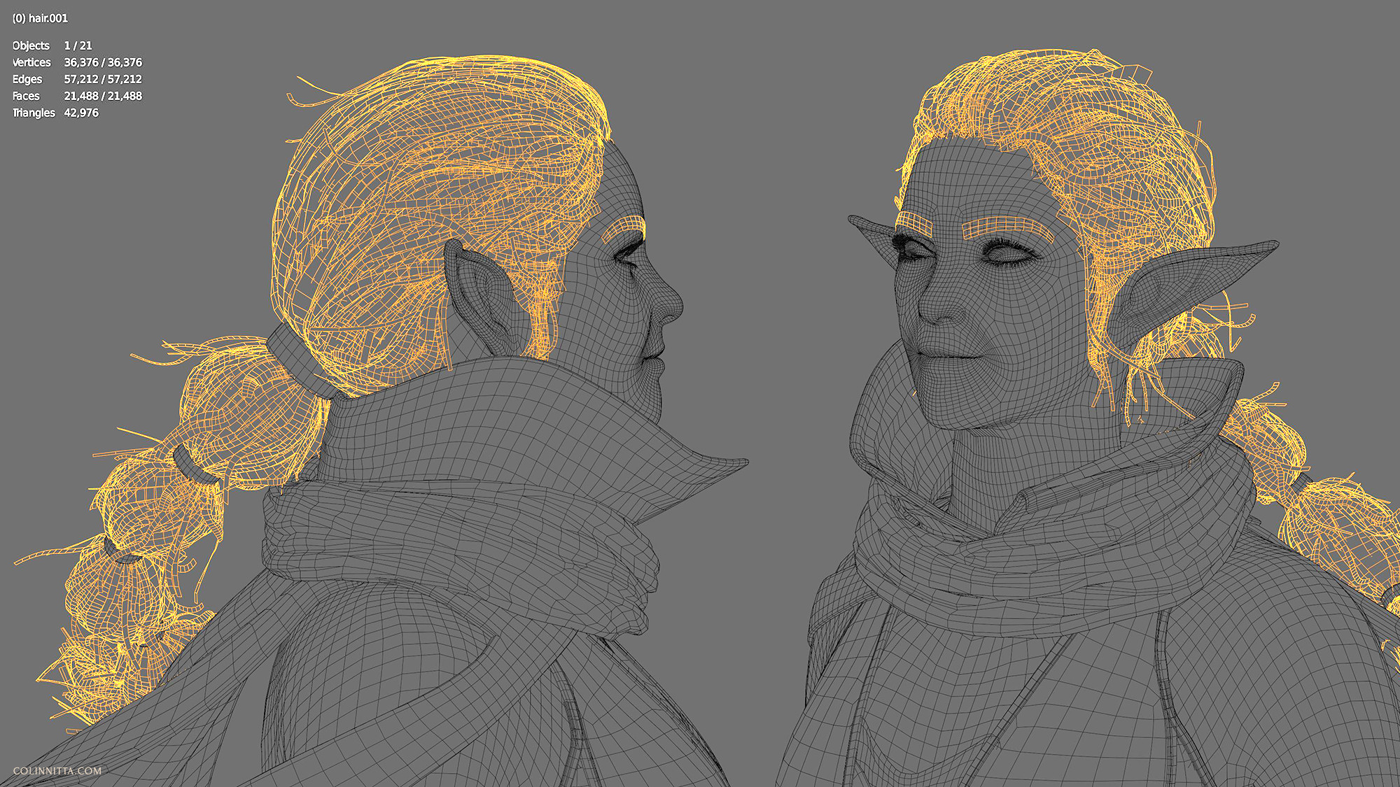 Hair wireframe.