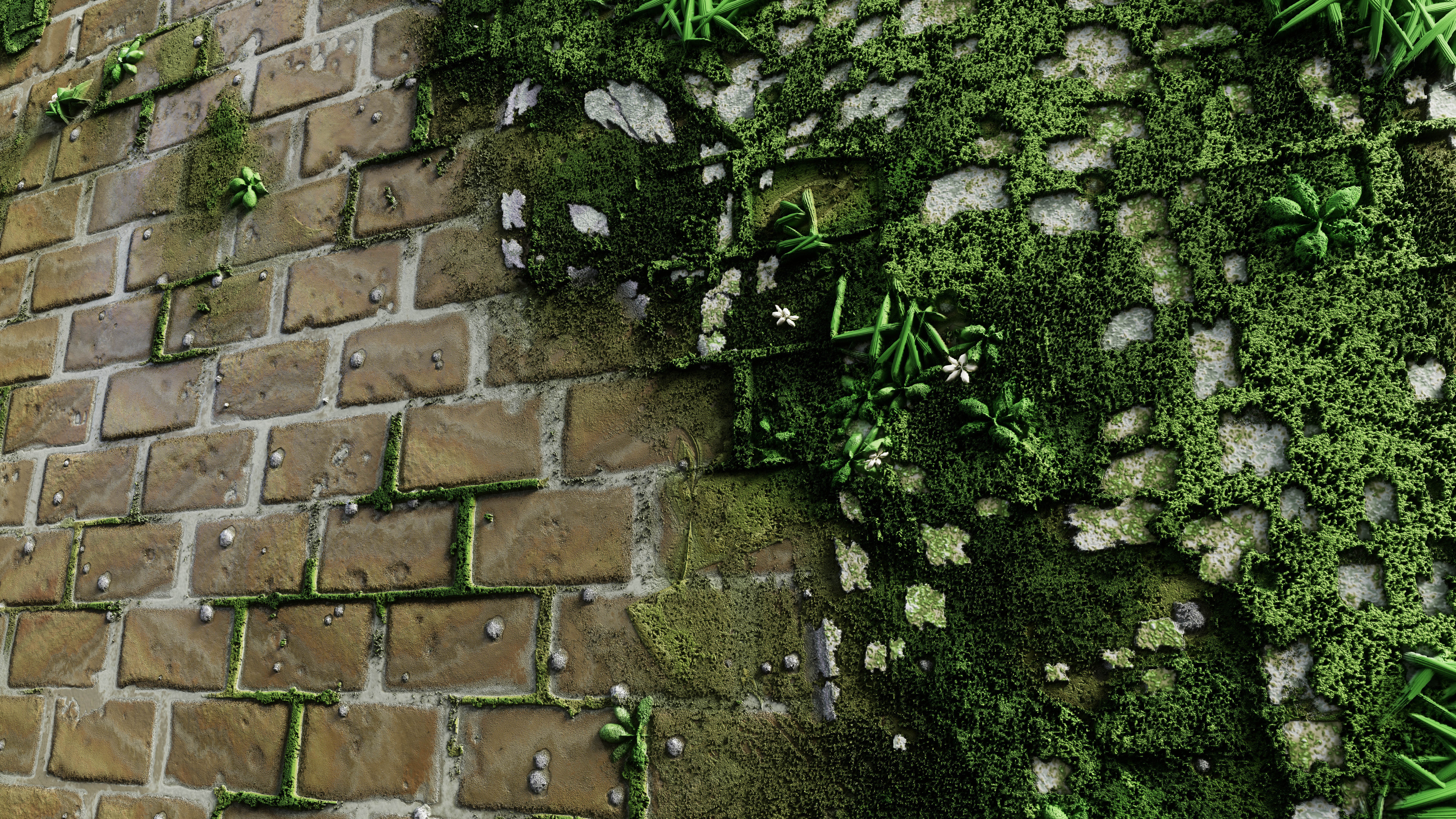 Beauty Render 01