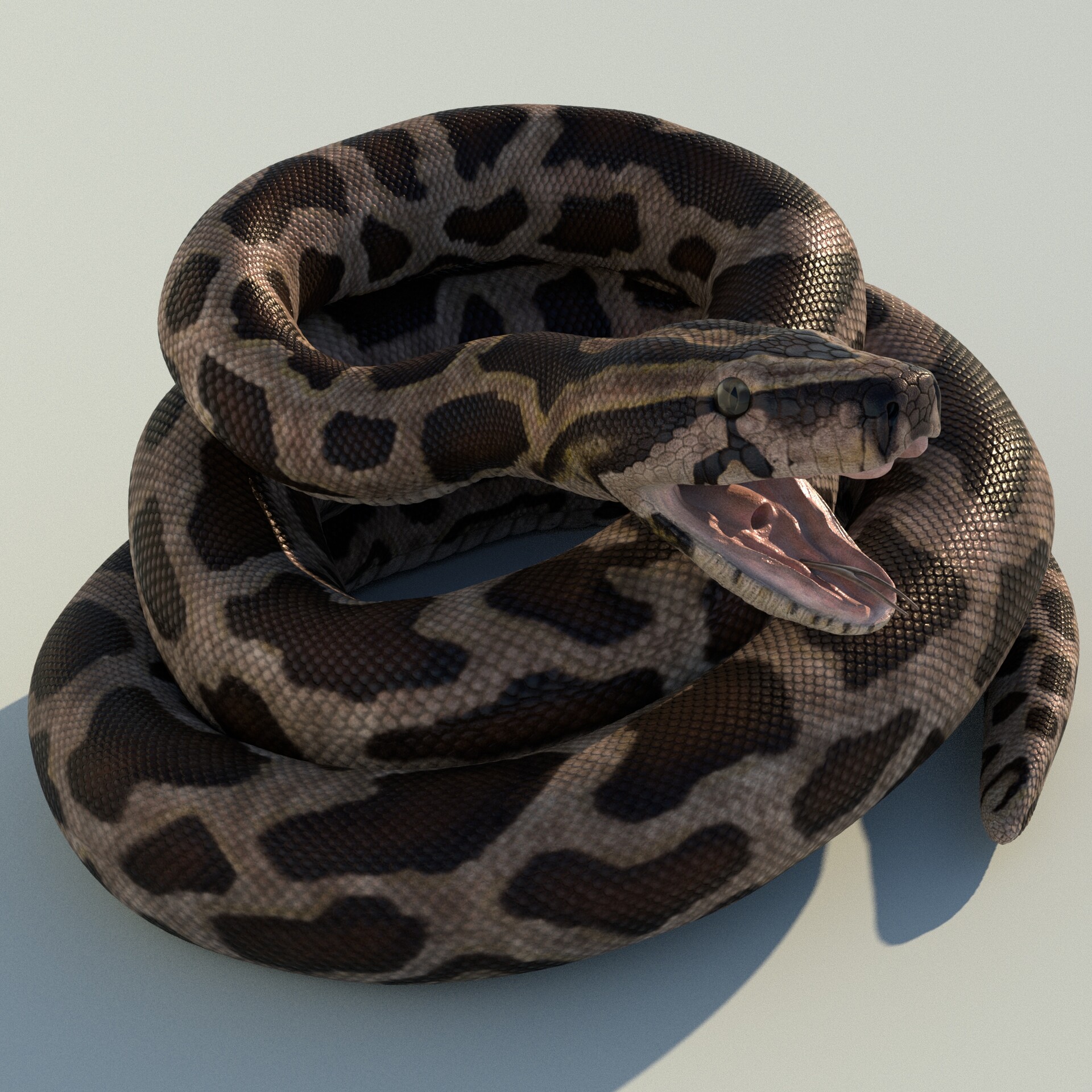 ArtStation - Burmese Python Rigged Animated