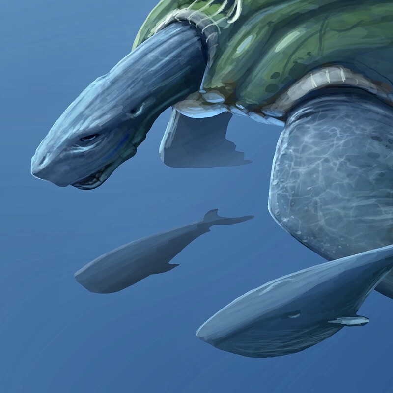 Shark shell Titan turtle
