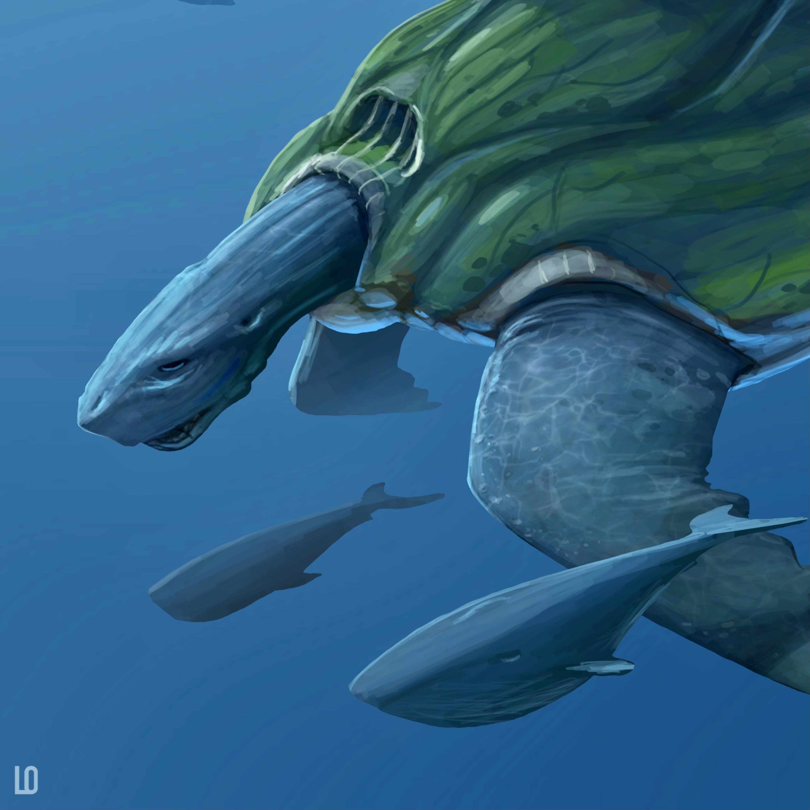 Detail of the shell shark Titan turtle
