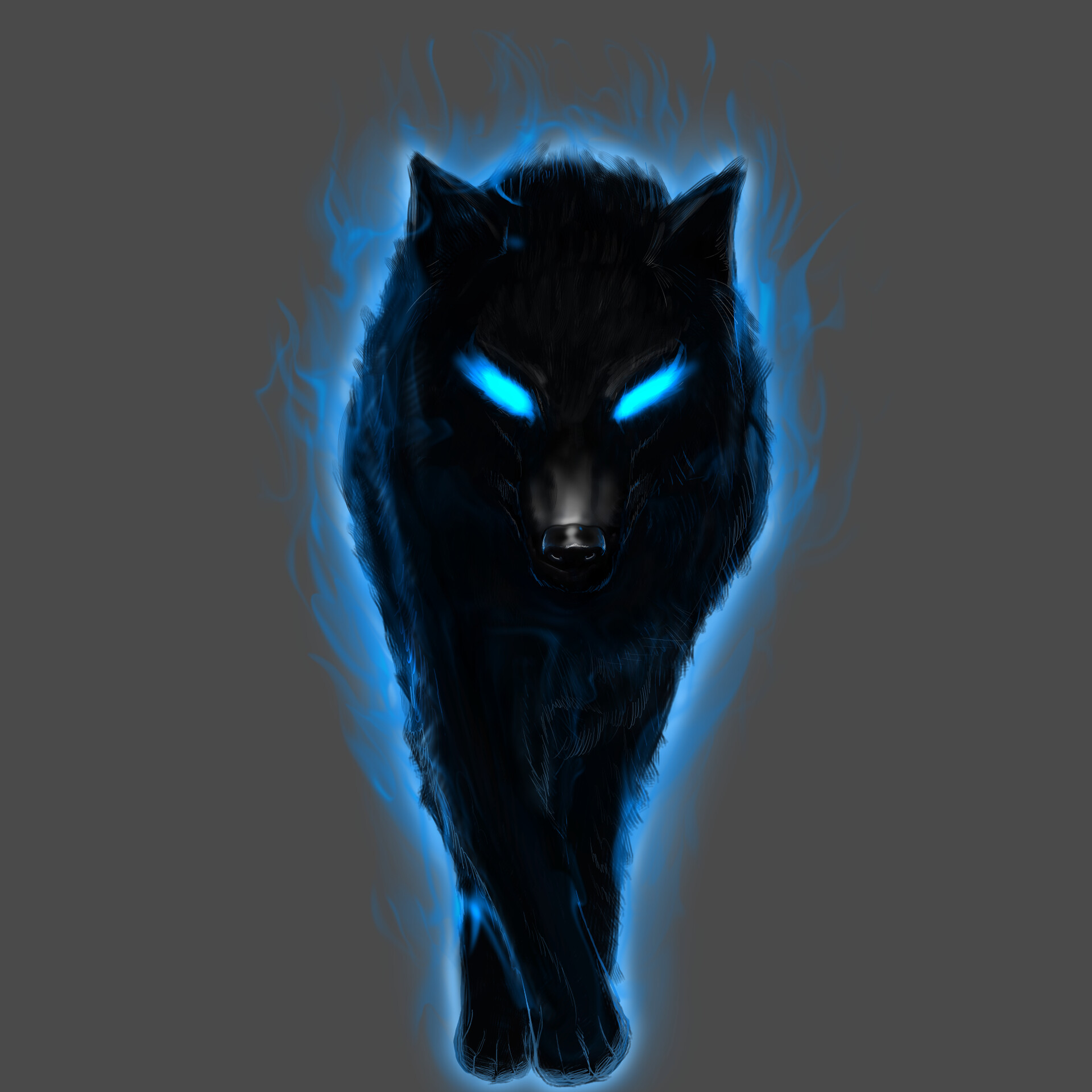 black wolf blue eyes