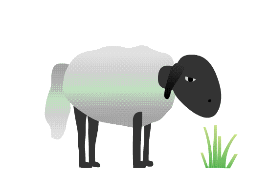ArtStation - ead sheep