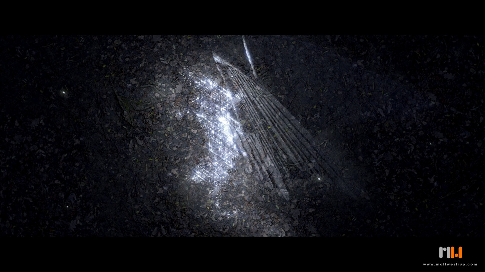 Role: Modelling, Texturing, Lighting, Animation, Compositing.