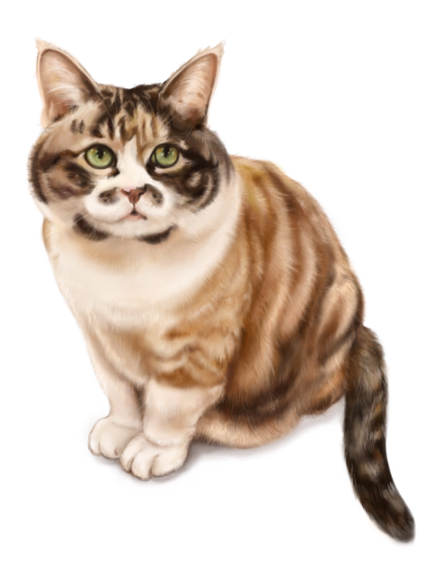 Maneki neko real deals cat
