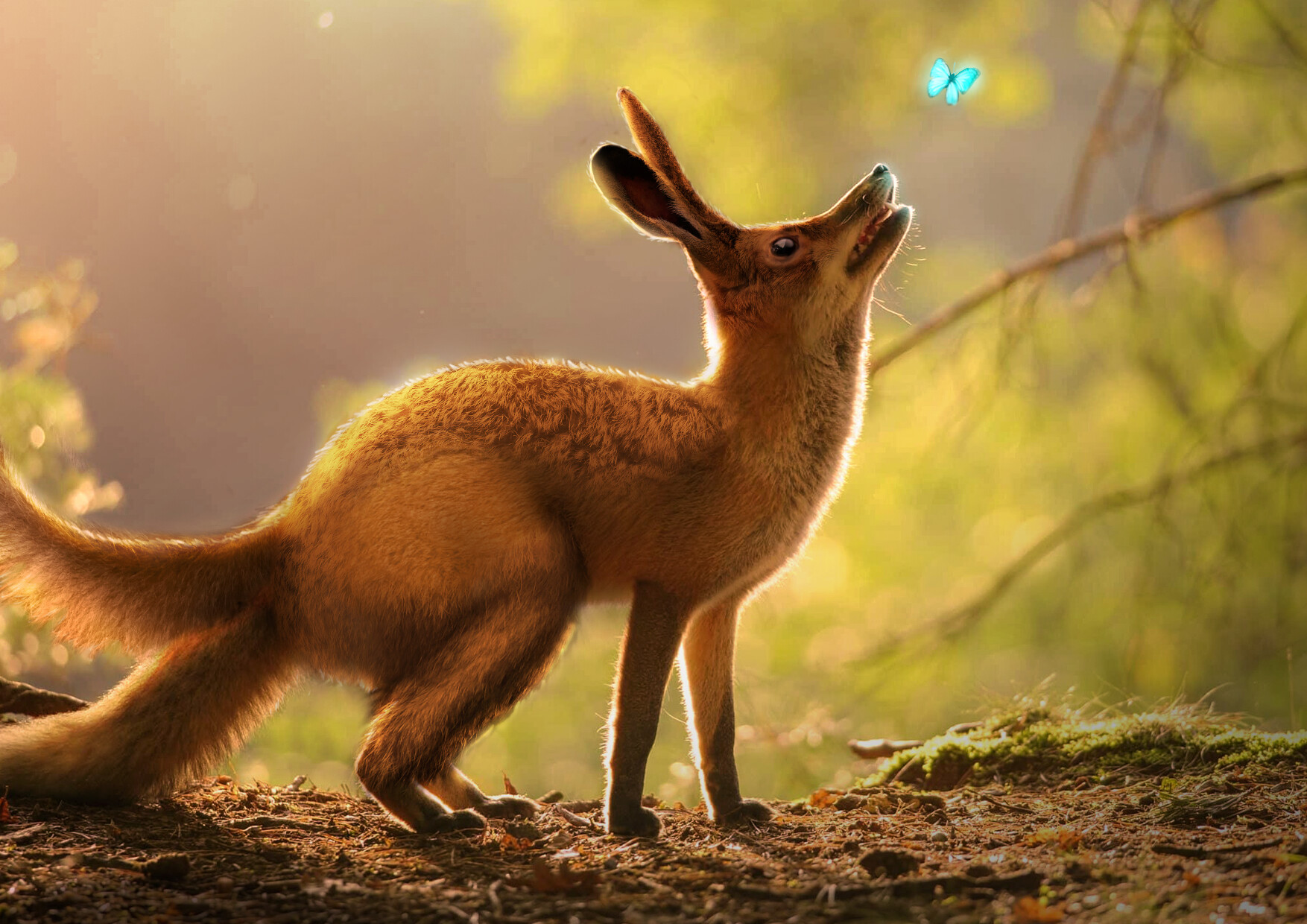 ArtStation Animal Hybrids Project