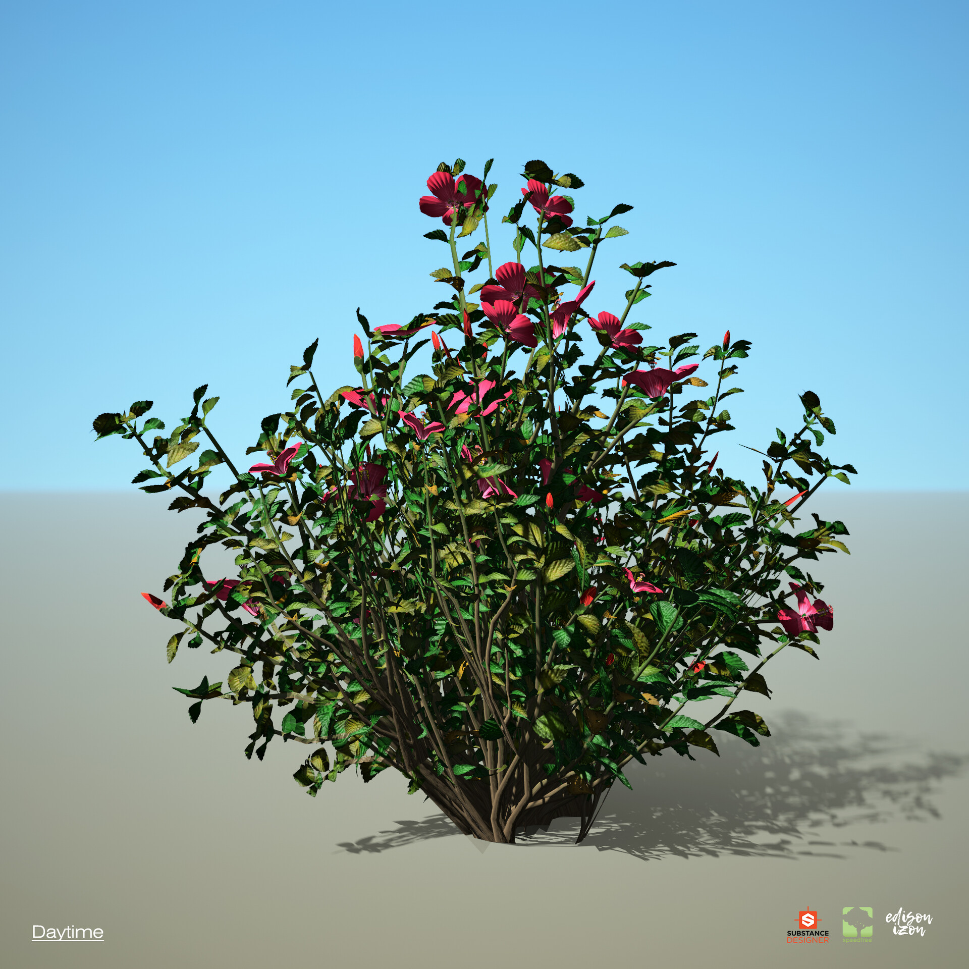 ArtStation - 3D Cotton Flower Bloom