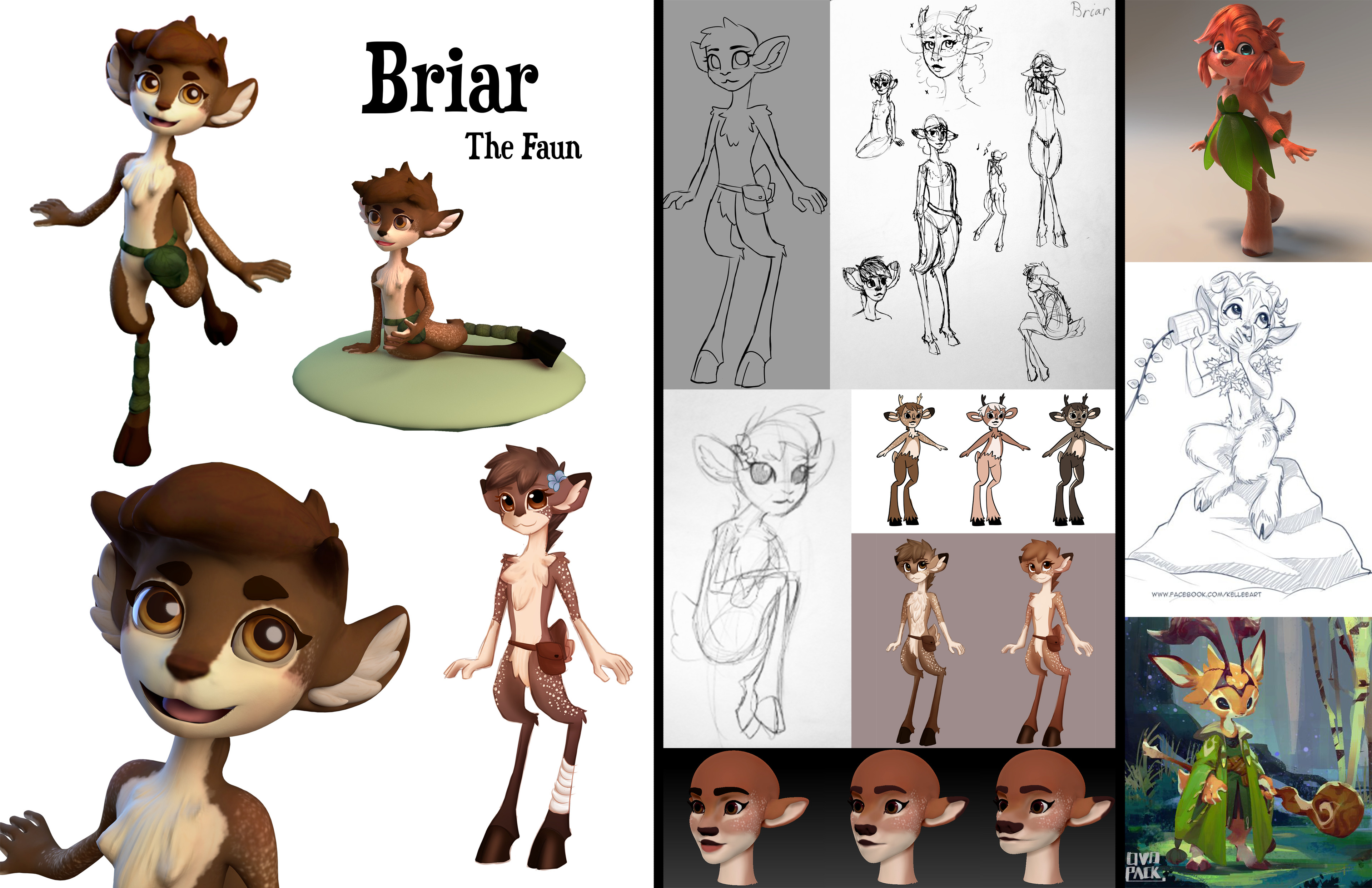 Briar 