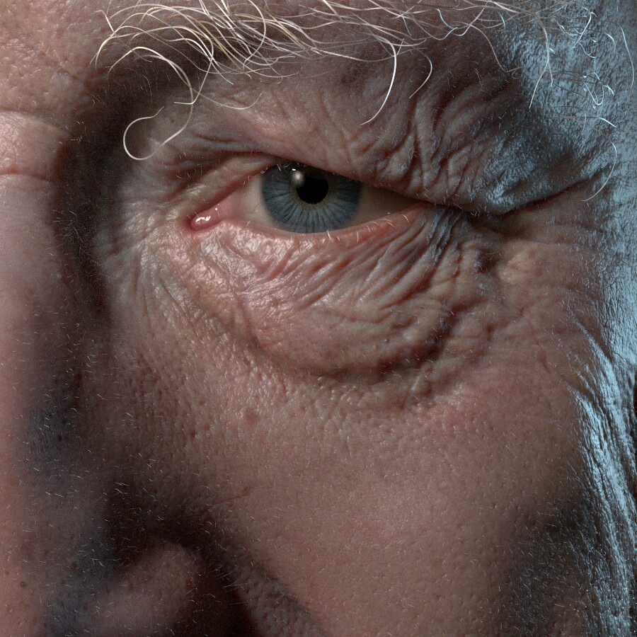 Arnold render test