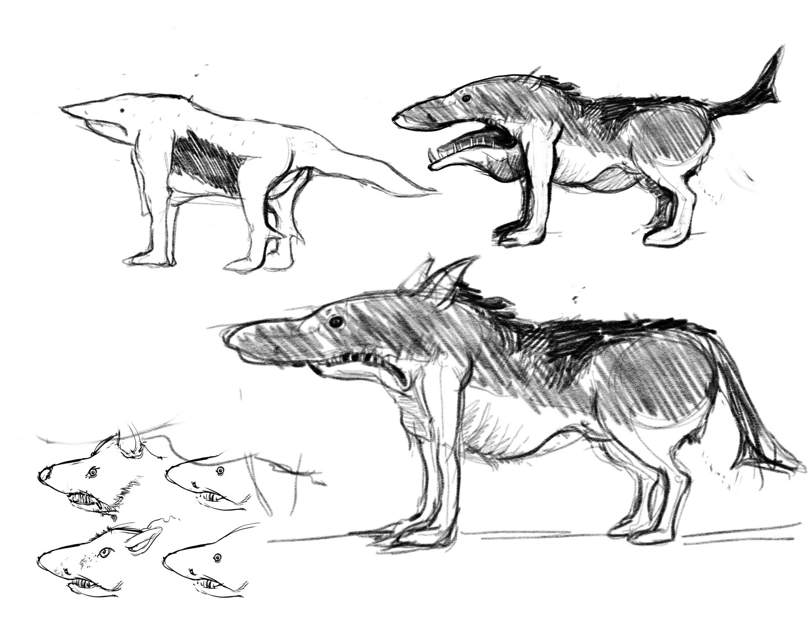 Concept ideation for the Shark Wolf creature character #2.
