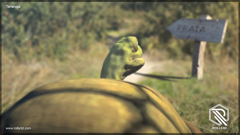 Tartaruga - Animation Shortfilm